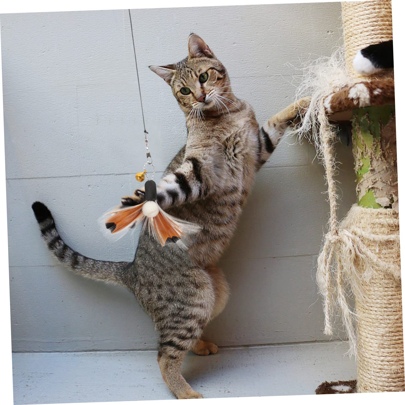 Happyyami 24stücke Teiliges Katzenangel Spielzeug Mit Austauschbaren Köpfen Interaktive Teaser Für Indoor-Katzen Fördert Spieltrieb Und Bewegung