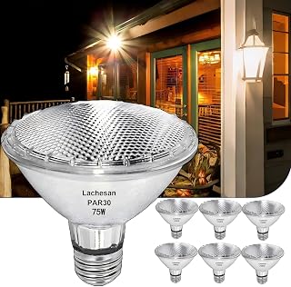 120V 75W Par30 Halogen Flood Light Bulbs,Short Neck Bulb,75W Equivalent 2700K Warm White Dimmable High Brightness, Great for Accent Lighting, Tracking Light, Recessed Light Bulb(6Pack