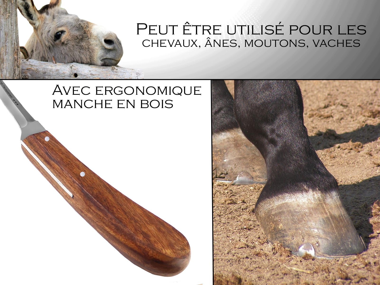 Couteau à sabot tranchant en acier inoxydable de qualité supérieure avec lame passivée et poignée en feuille, outils de maréchal (droitier