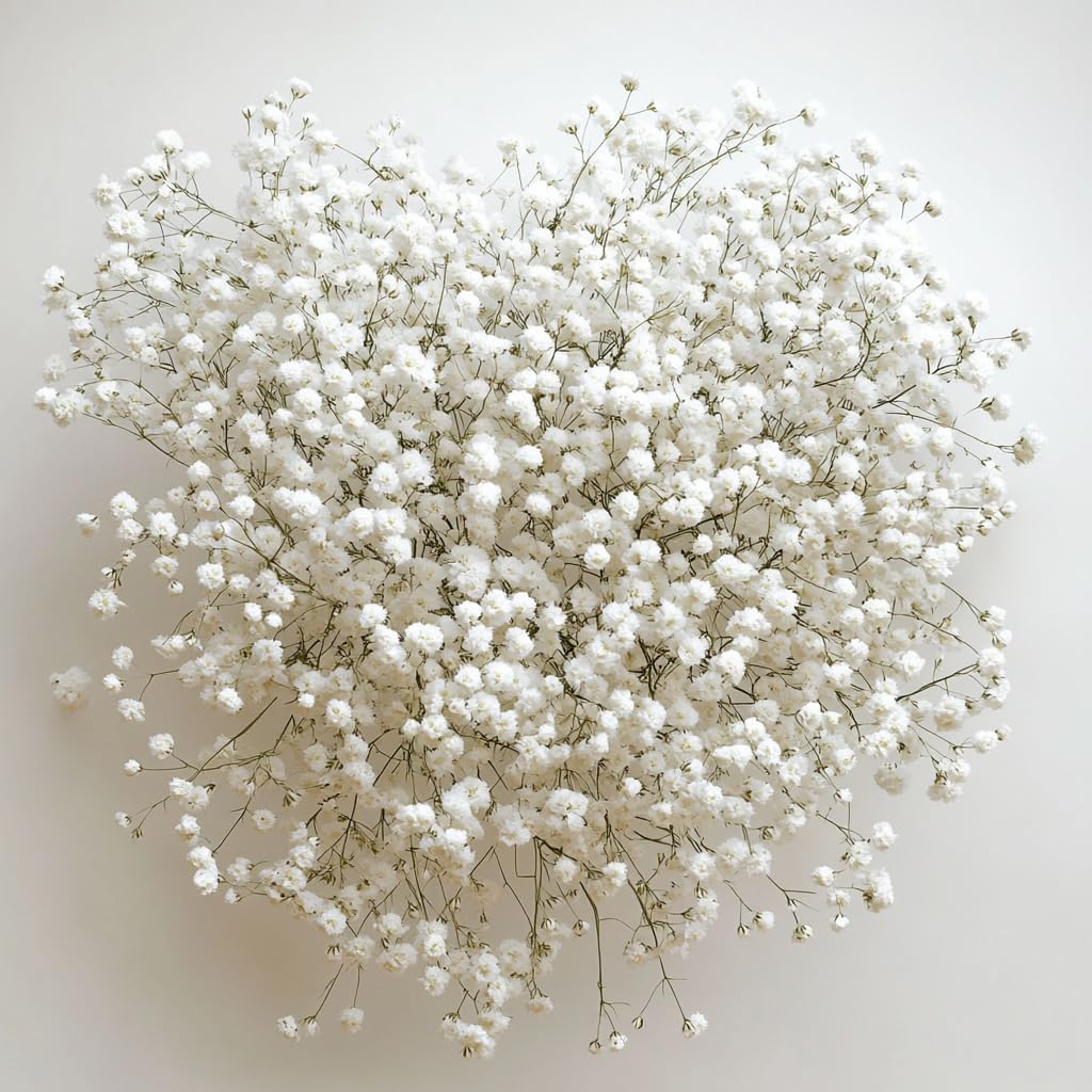 GlobalRose 60 Stems Fresh Fillers -30 Stems of Baby's Breath and 30 Stems of Ruscus- Fresh Flower Delivery for Baby Shower