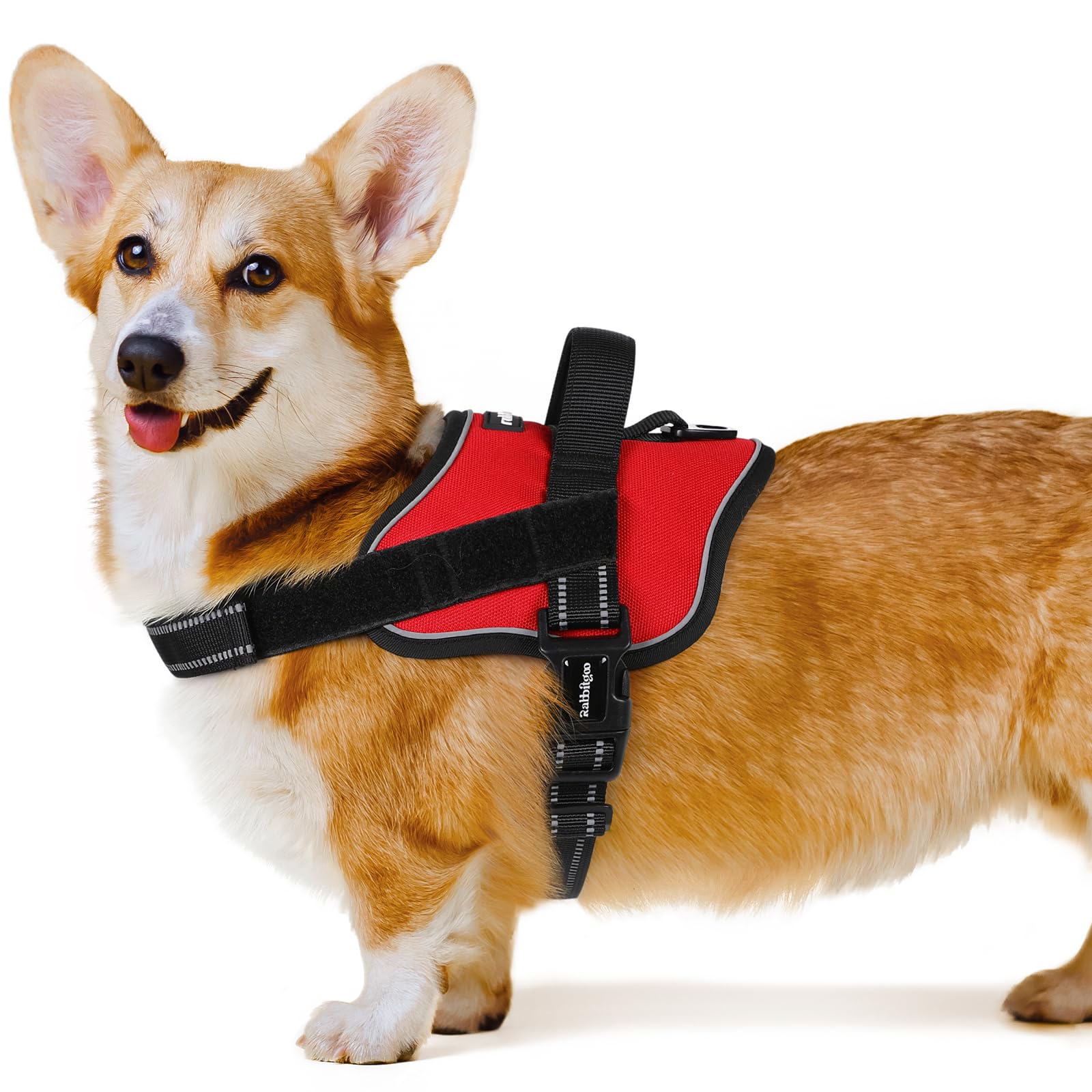 rabbitgoo Dog Harness Small Dog, Easy Wearing with One Buckle, No Pull Harness, Adjustable Assistance Service Pet Vest
