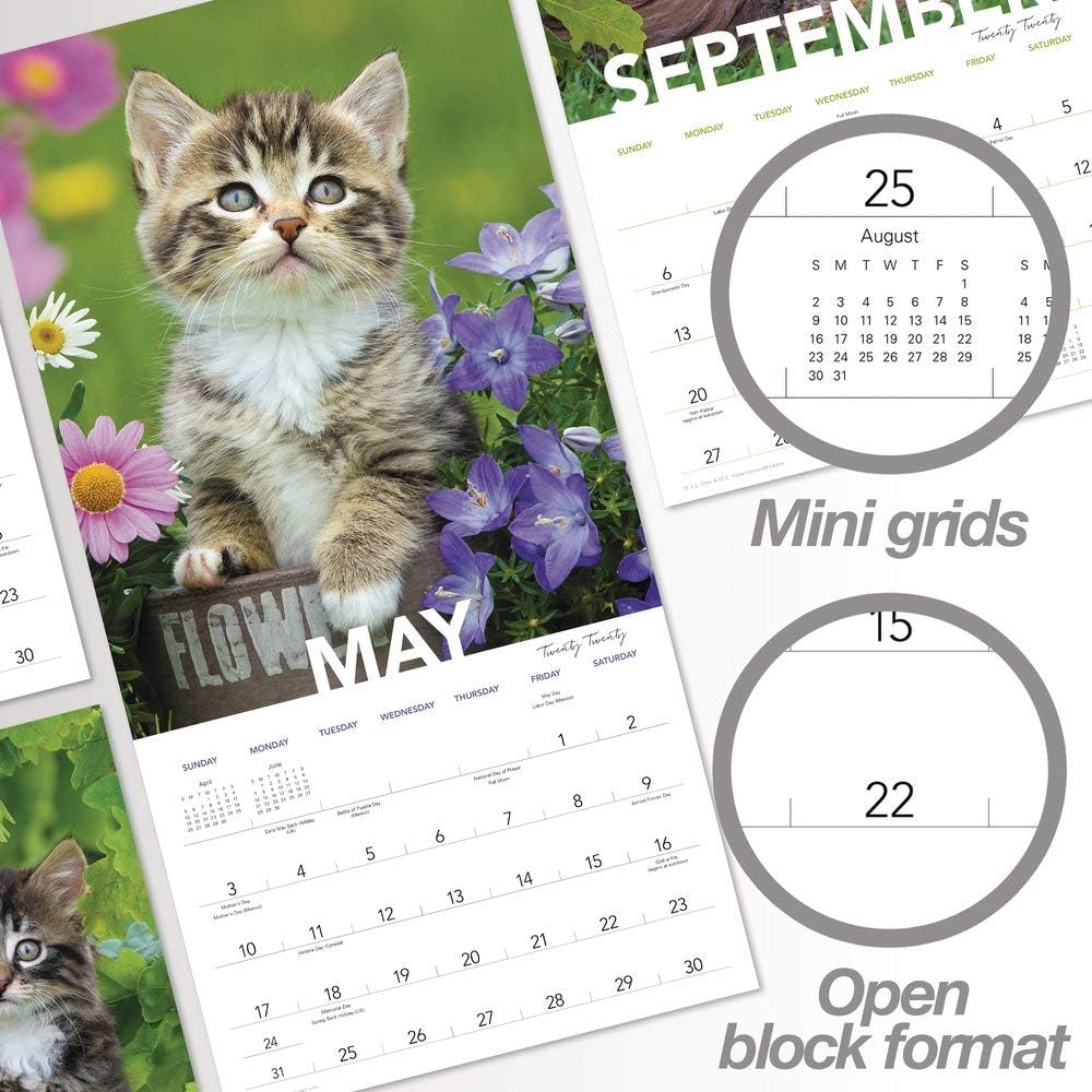 2020 Kittens Wall Calendar (LME1341020)
