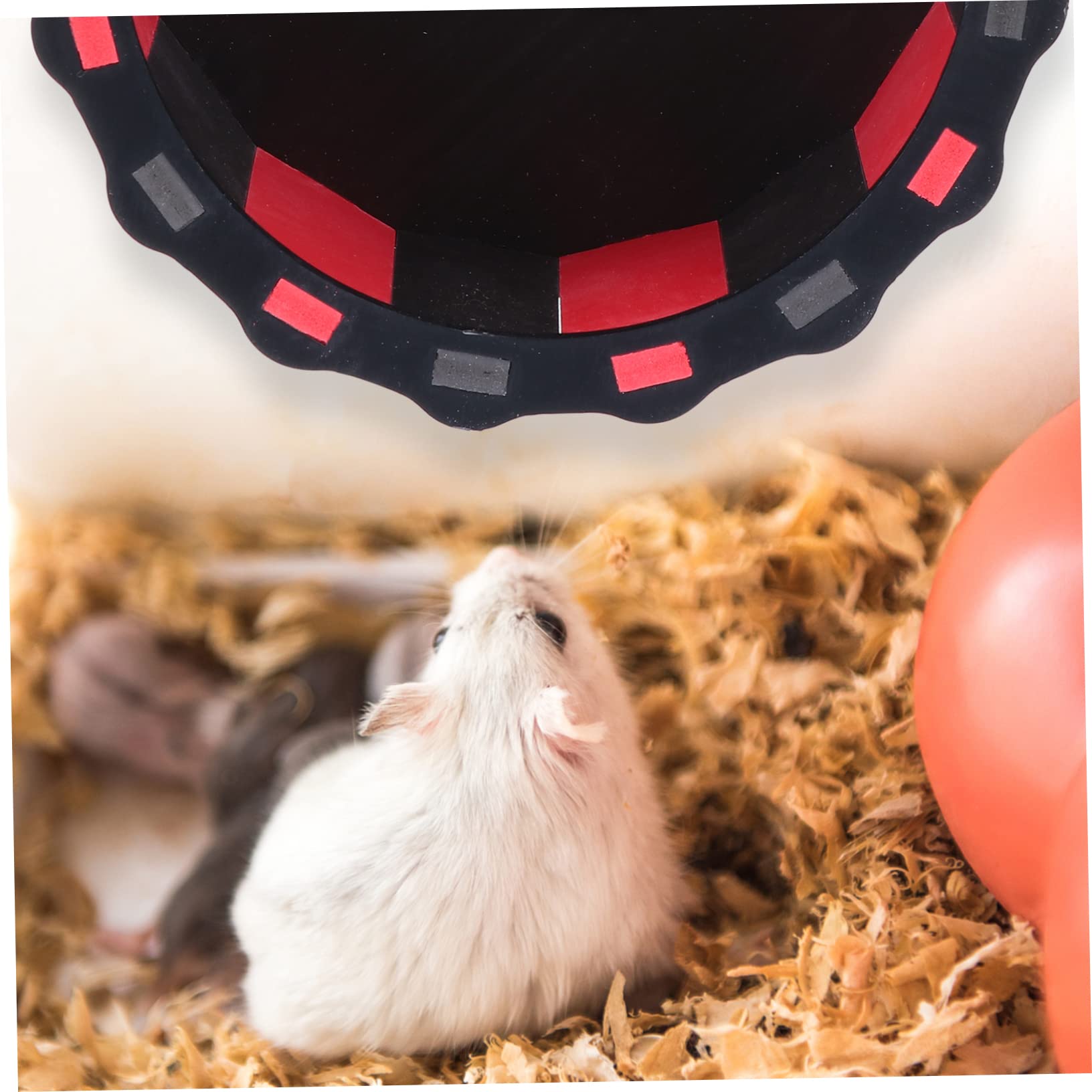 Silent Hamster Exercise Wheel 12-inch Running Spinner for Small Pets Quiet Steel Axle for Hamsters Gerbils and Mice Cage Accessory - image 6