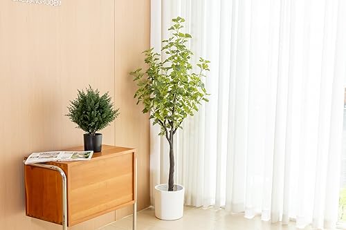 Miniatura 6 de FUBODUN 5.2 pies de alto, árbol de ginkgo sintético para interiores, árbol de seda para decoración del hogar, oficina, sala de estar