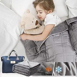 OMYSTYLE Weighted Blanket 10lbs for Kids and Toddlers(41"x60"), Reversible Tencel/Short Plush Warming & Cooling 2 in 1 All Season Heavy Blanket - Bonus Carry Bag Included