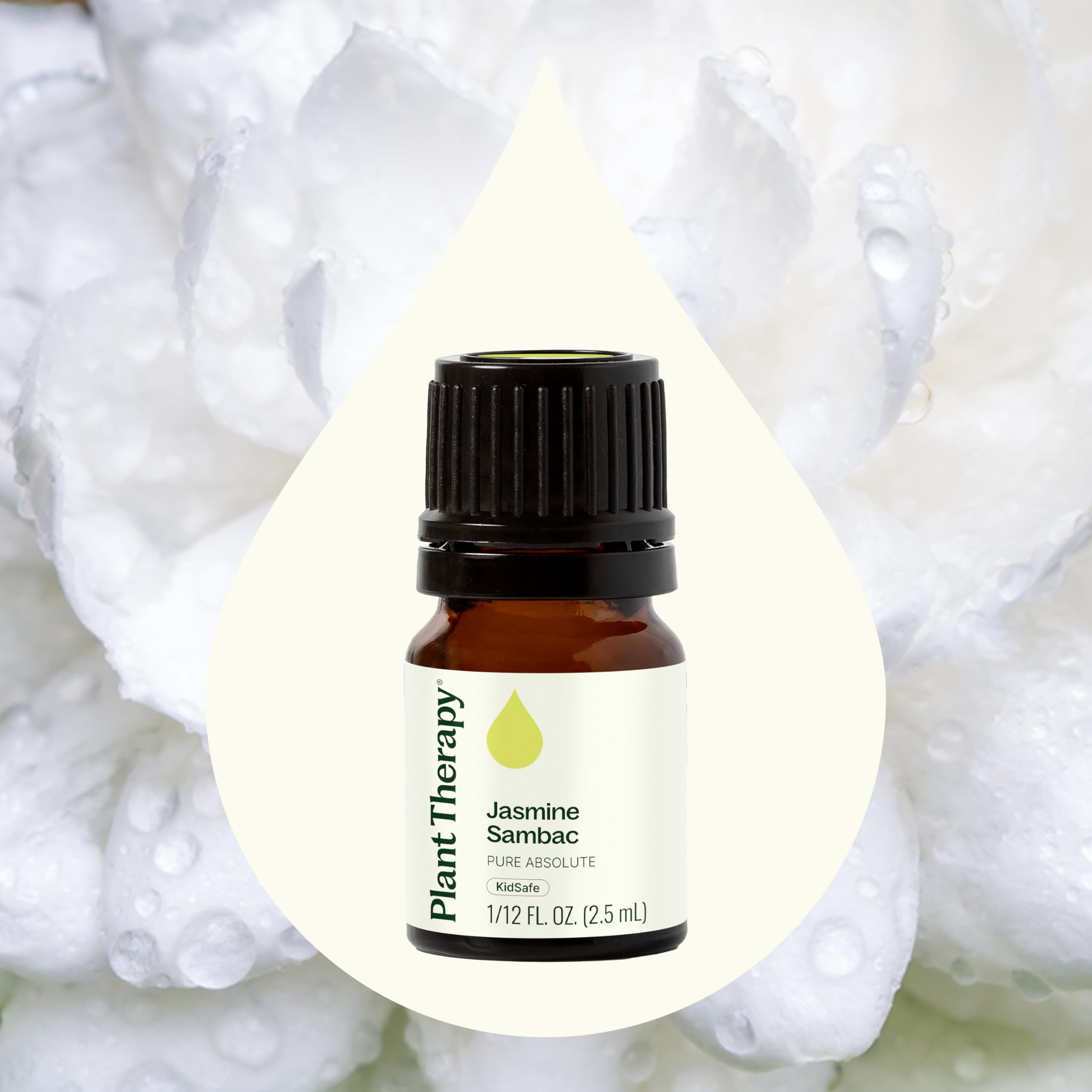 Amazon.com: Plant Therapy Jasmine Sambac Absolute Essential Oil