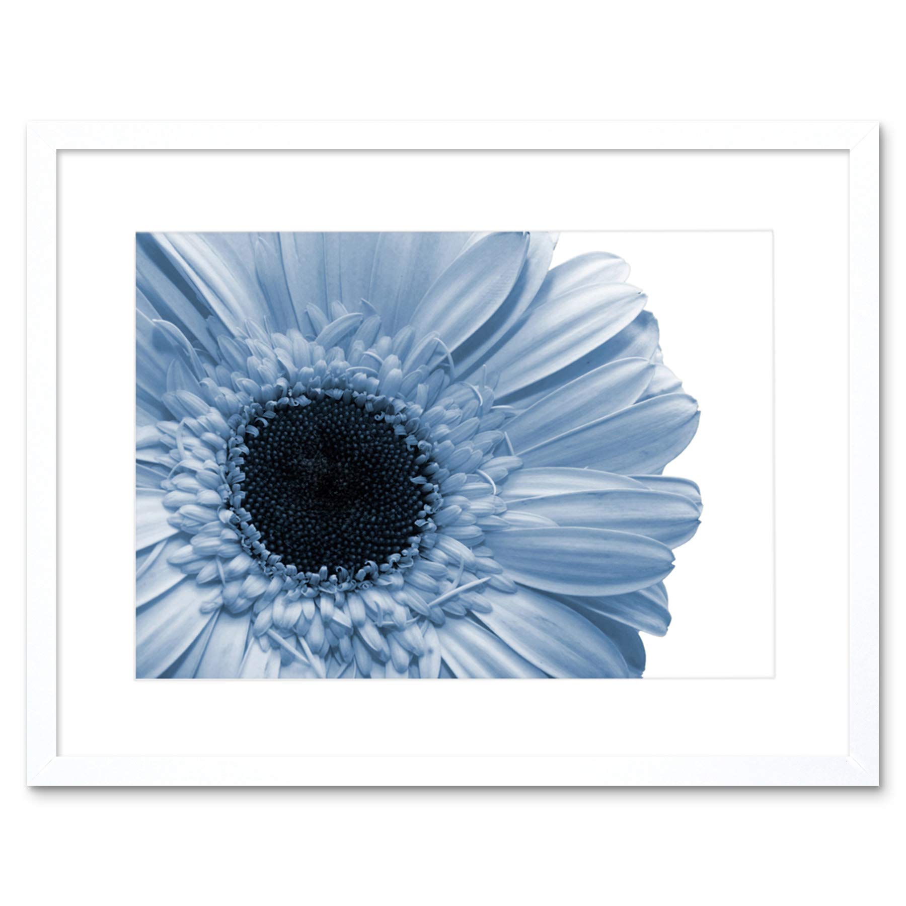 Wee Blue Coo Powder Light Blue Gerbera Flower Art Picture Framed Wall Art Print