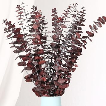 20 Pcs Dried Eucalyptus Stems, 17 Real Red Leaves for Fall Decoration