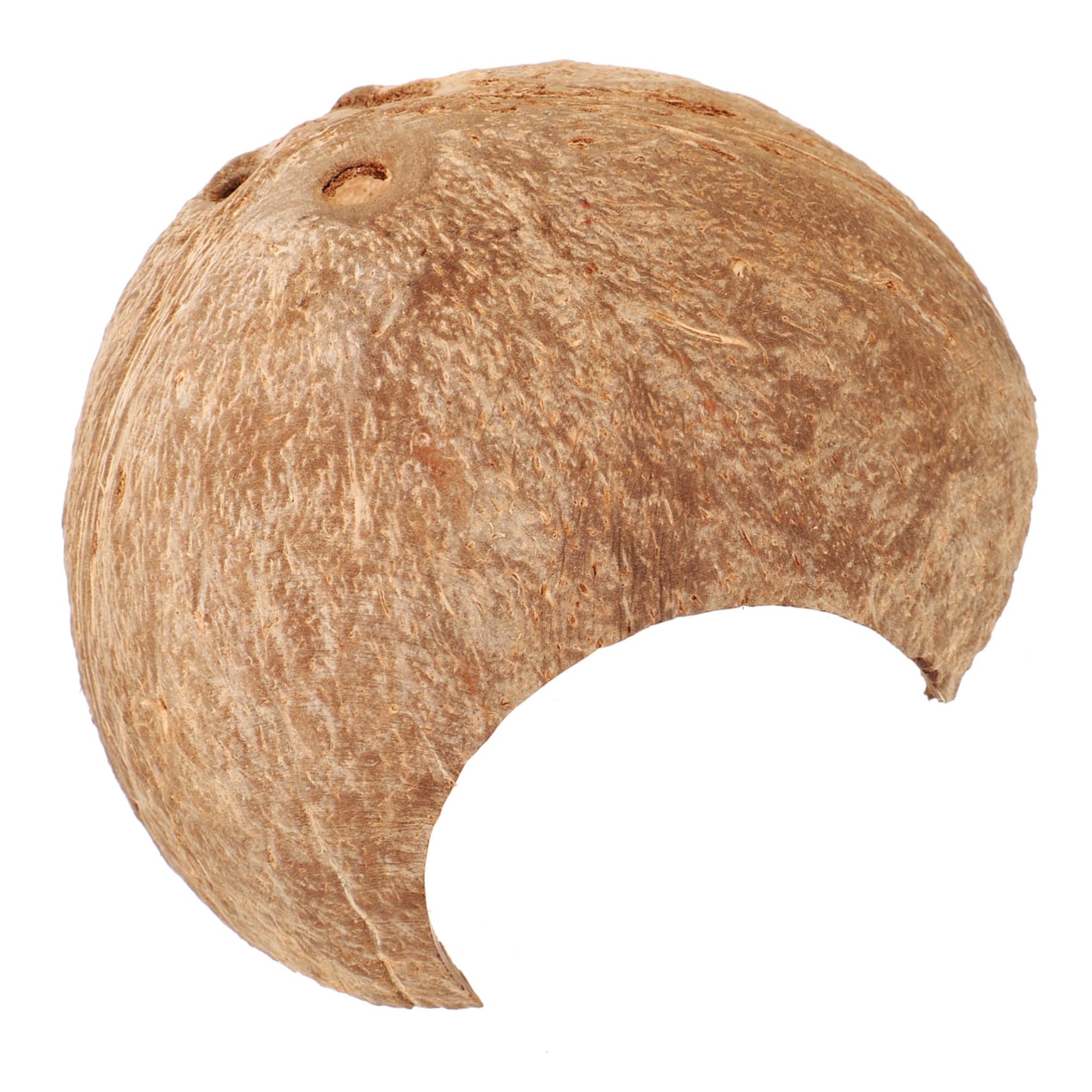 CIYODO Coconuts Shell Hideout Decorative Reptile Shelter for Terrarium Unique Leopard Gecko Humid Hide Snake Hideout for Habitat Enhances Reptile Happiness Landscape