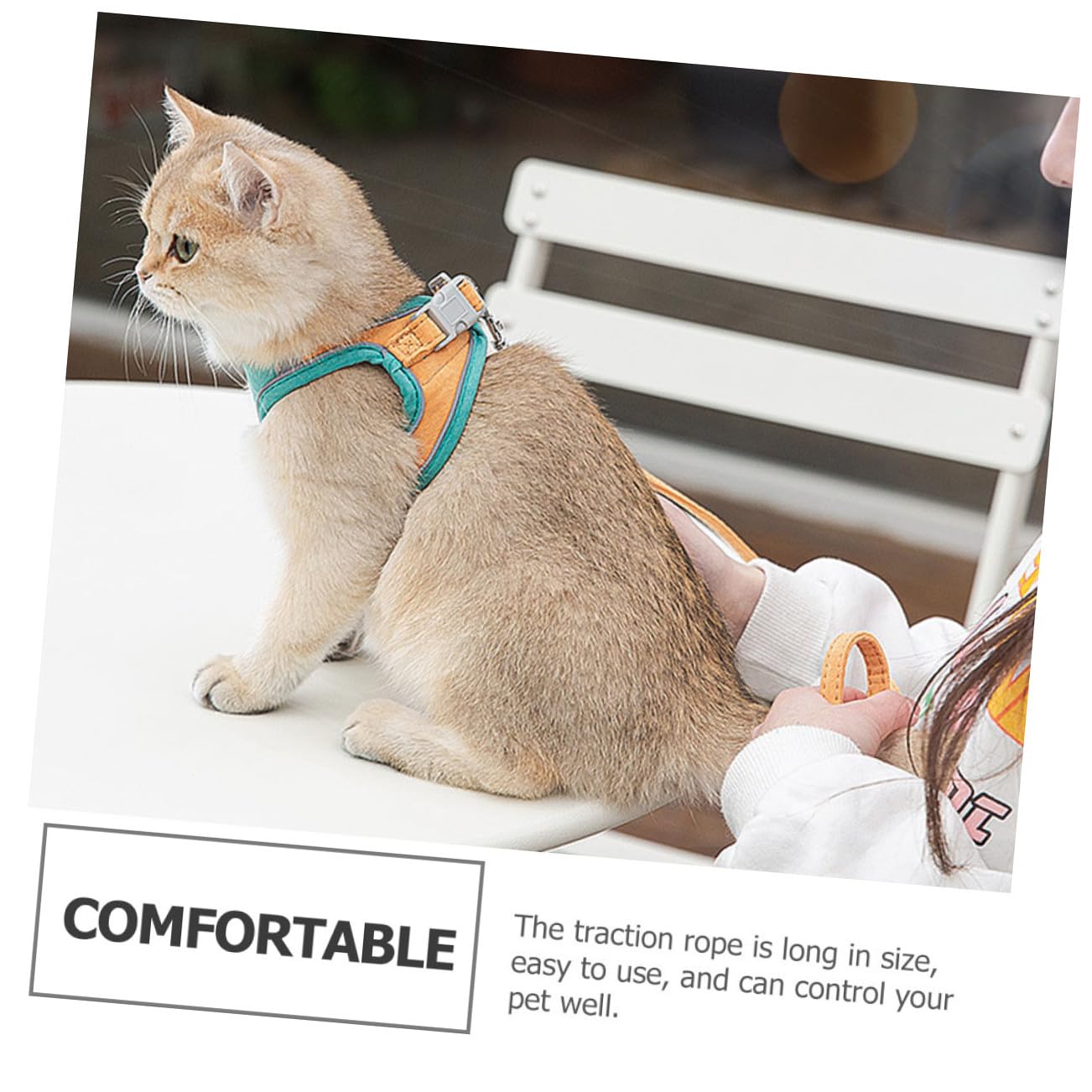 VANZACK 3sätze Katzen Geschirr Mit Für Haustiere Einstellbar Und Ausbruchsicher Reflektierendes Design Für Sicheres Für Kätzchen Und Kleine Hunde