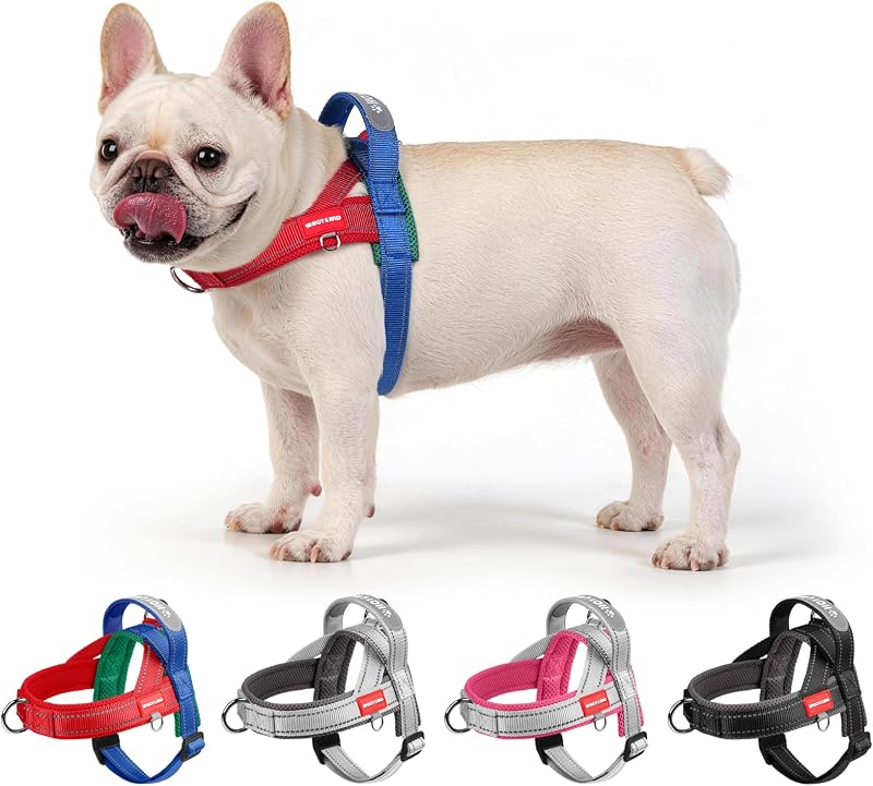 Peitoral Vest para Cães com 3 Argolas, Faixas Refletivas e Alça Acolchoada HCY&WLD Vermelho, S
