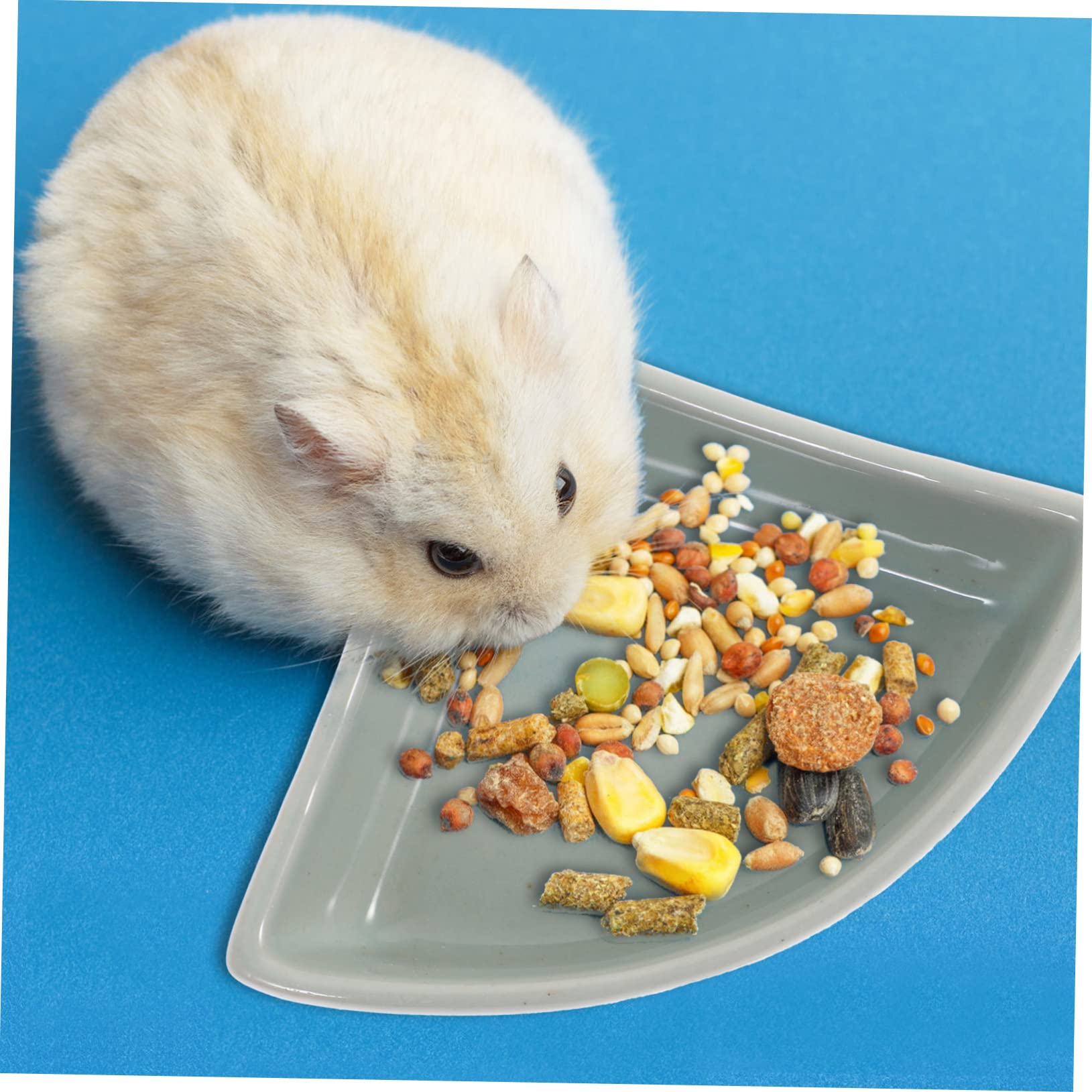 Ciotola in Ceramica Blu Adatta per Alimenti Secchi e Umidi per Criceti e Orsetti Dorati e Stabile Resistente alla Masticazione Anti-ribaltamento per Piccoli Animali