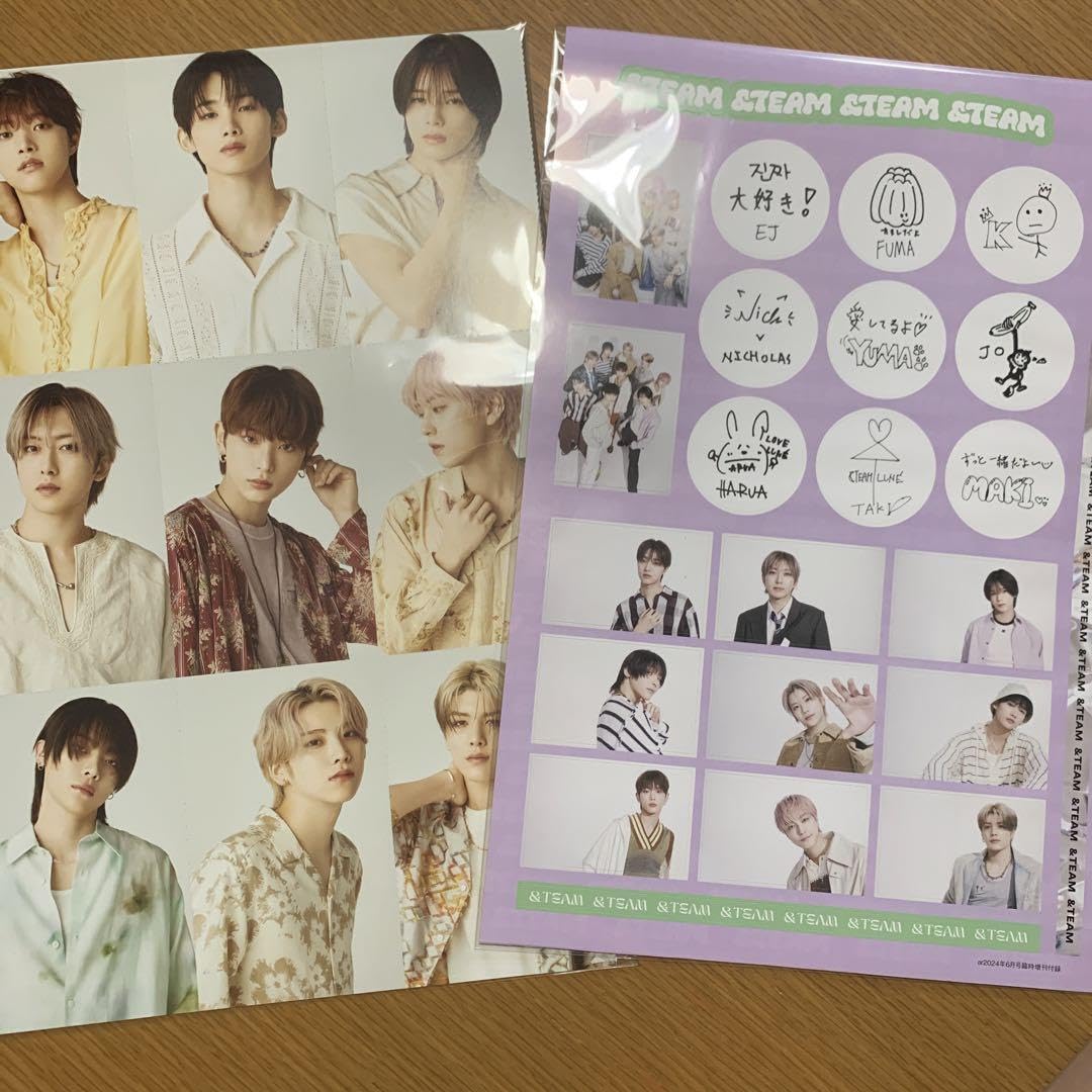Amazon.co.jp: &team エンティーム 雑誌 Ray ar 付録 : おもちゃ