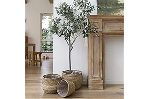 LA JOLIE MUSE Extra Large Plant Basket Trio: Natural Seagrass Planters (13.5"...