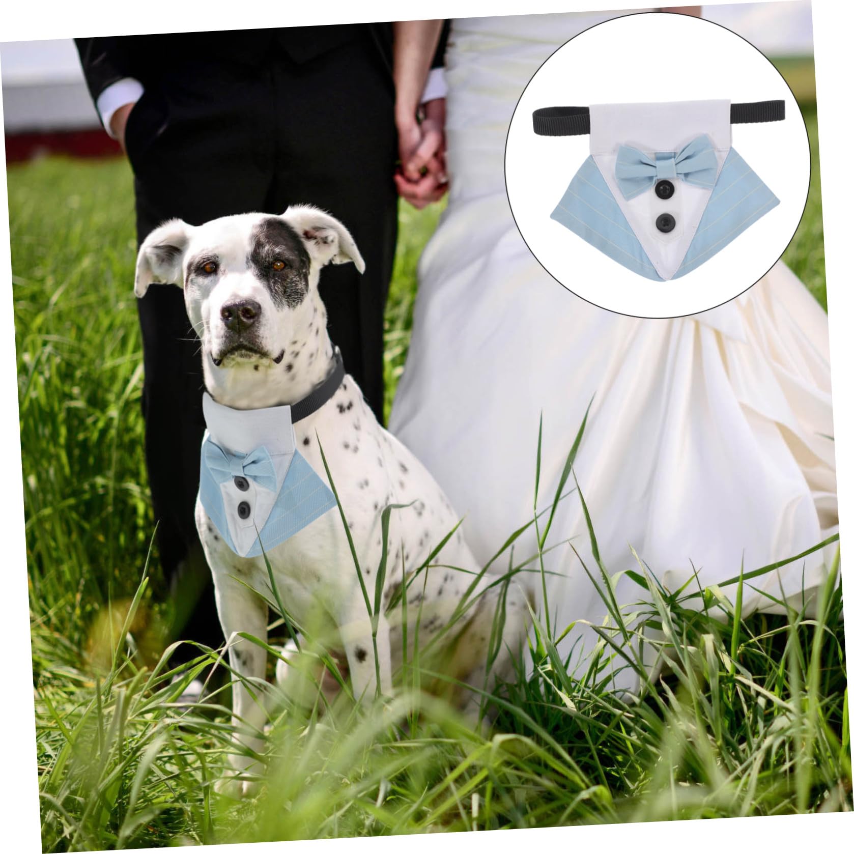 VICASKY 5 Pièces Collier Chien Costume Mariage avec Nœud Bandana Ajustable Polyester pour Chiot Accessoire Élégant pour et Cérémonies Bleu S