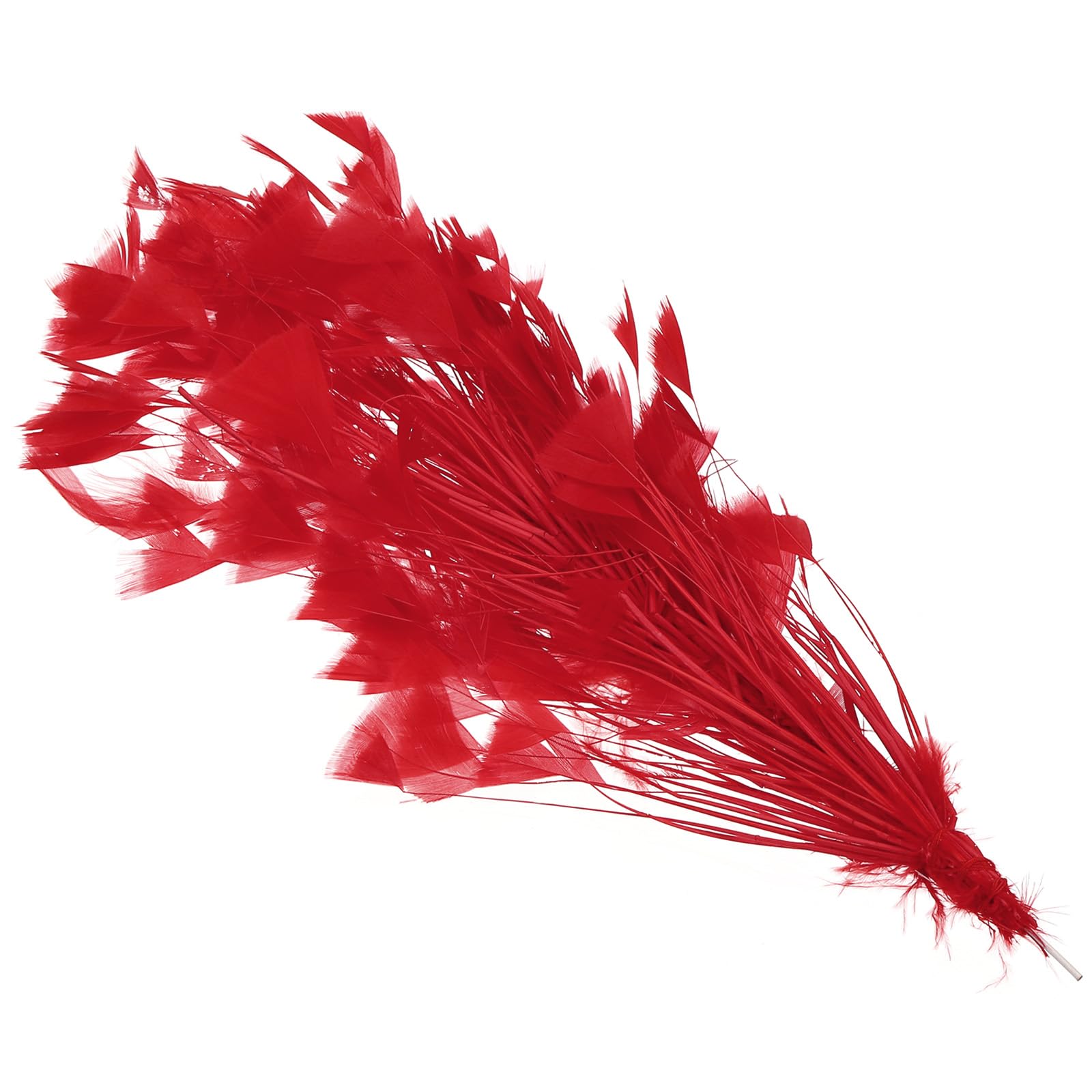 PATIKIL 10-12 Inch Turkey Feathers