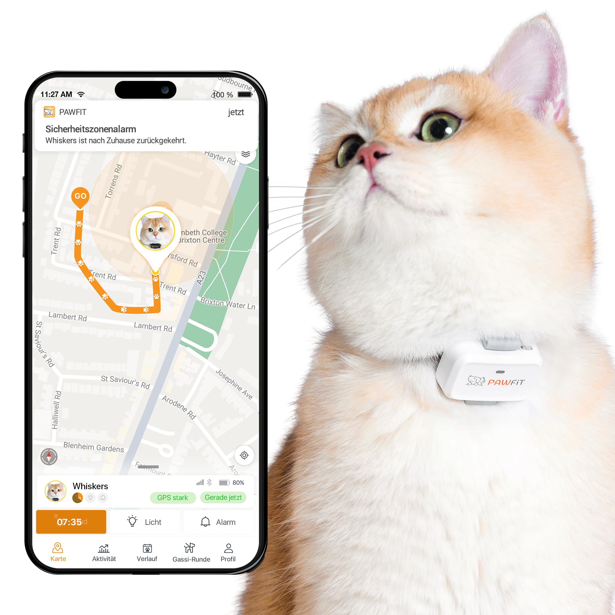 Pawfit Lite für Katzen 4G GPS-Tracker | Ultrakompakt <18g | Echtzeit-Tracking & Aktivität | Standortverlauf | Sicherheits-Halsband inkl. | Weiß