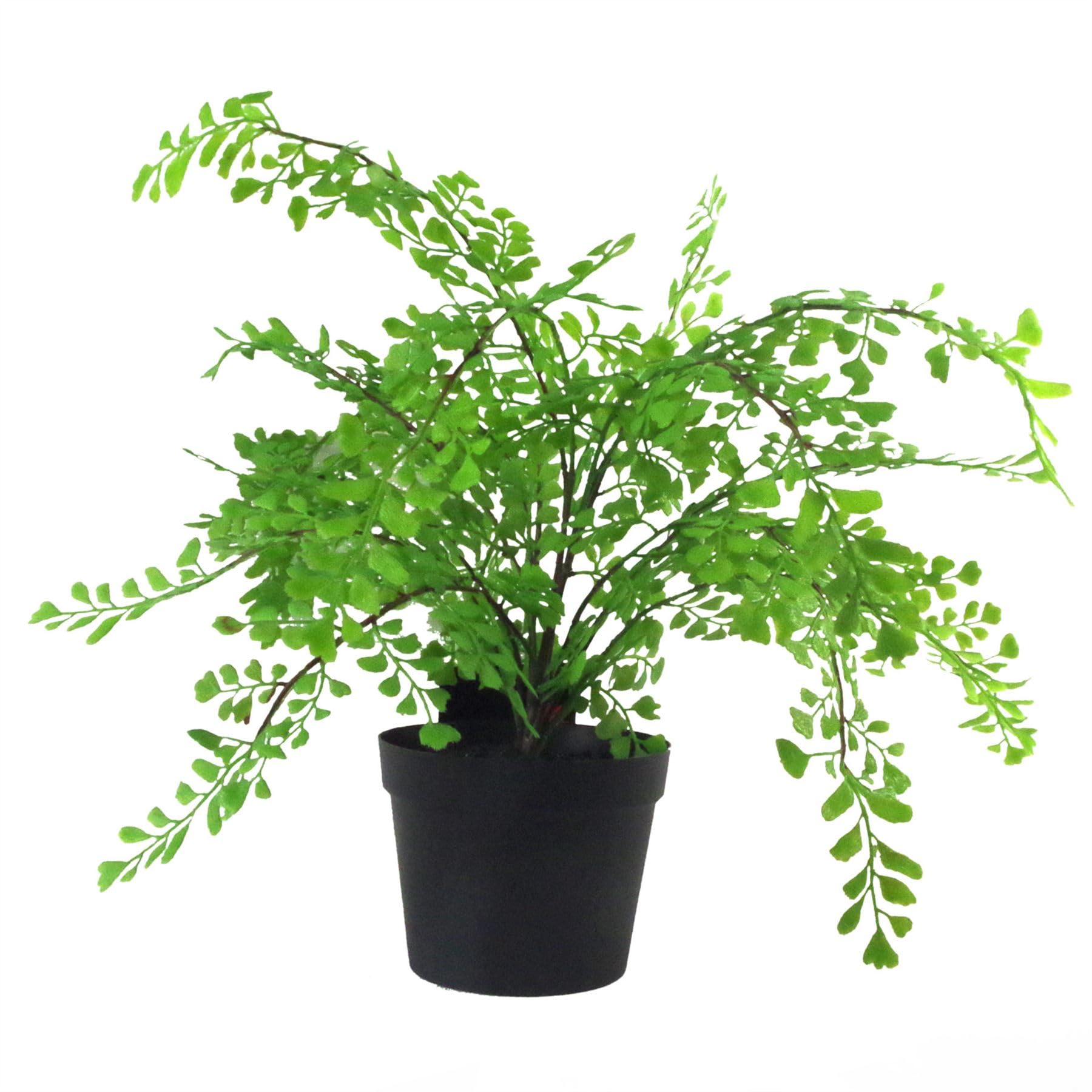 Botanik Premium Artificial Fern Grass