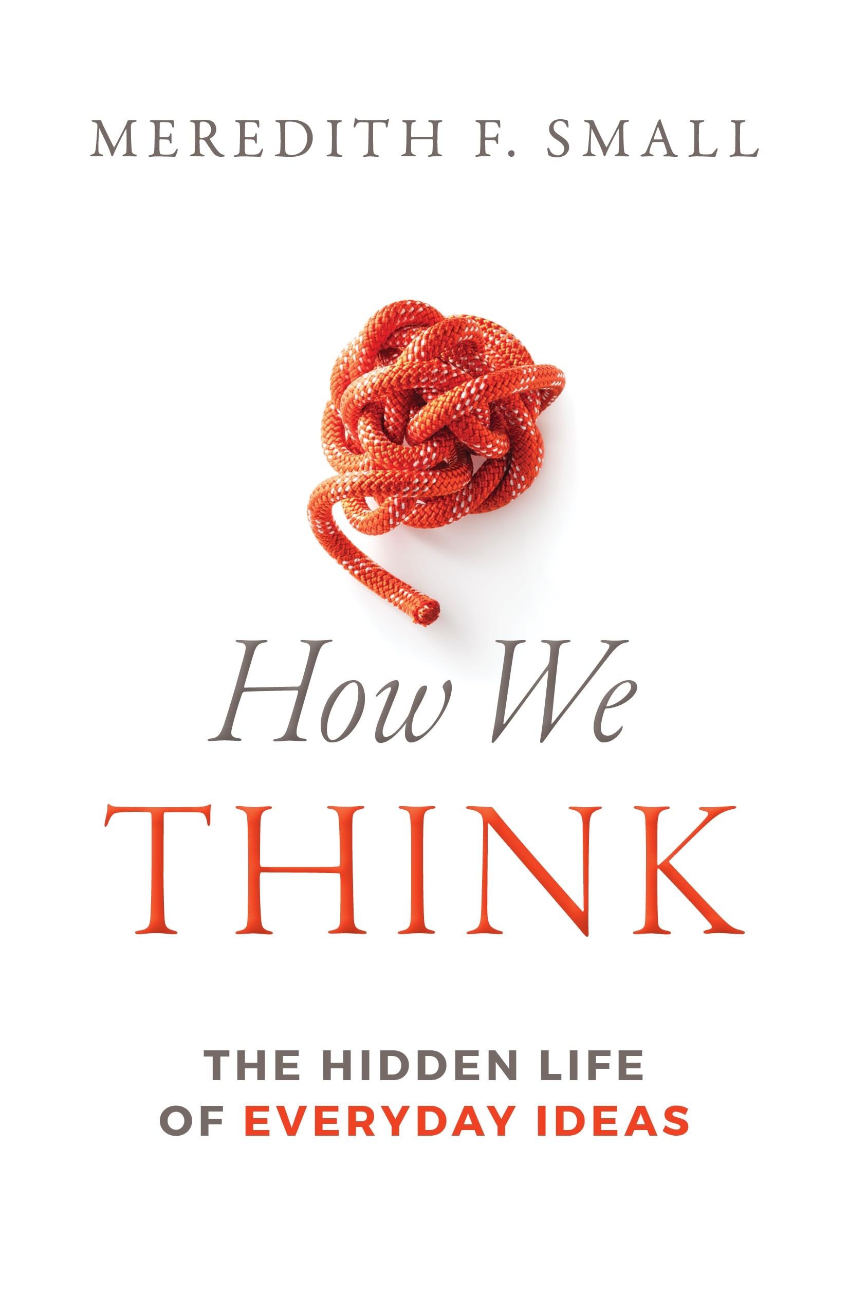 How We Think: The Hidden Life of Everyday Ideas