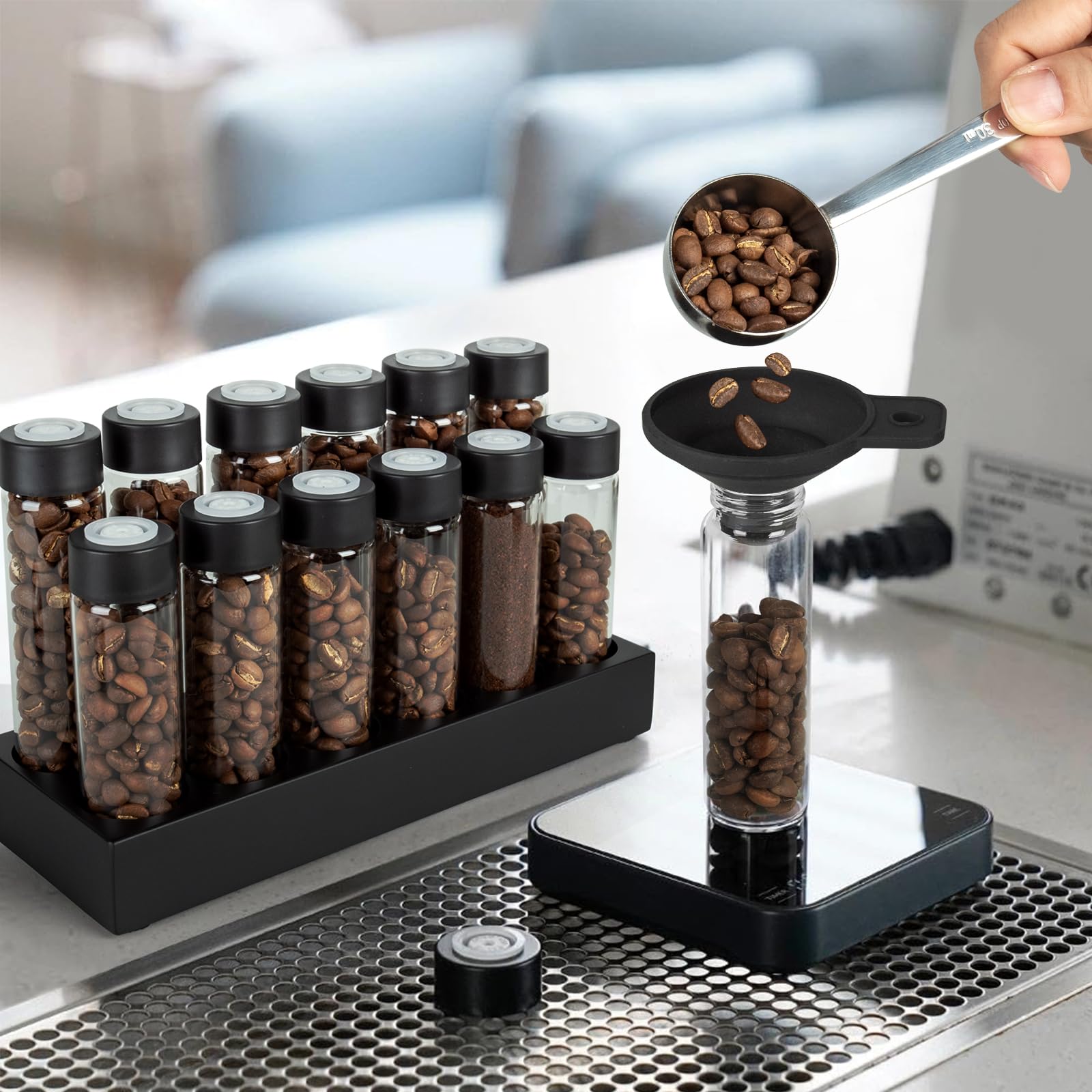 12 Tubi di Vetro per la Conservazione dei Chicchi di Caffè | Contenitori per la Conservazione dei Chicchi di Caffè Monodose con Supporto in Legno di Faggio, e Imbuto