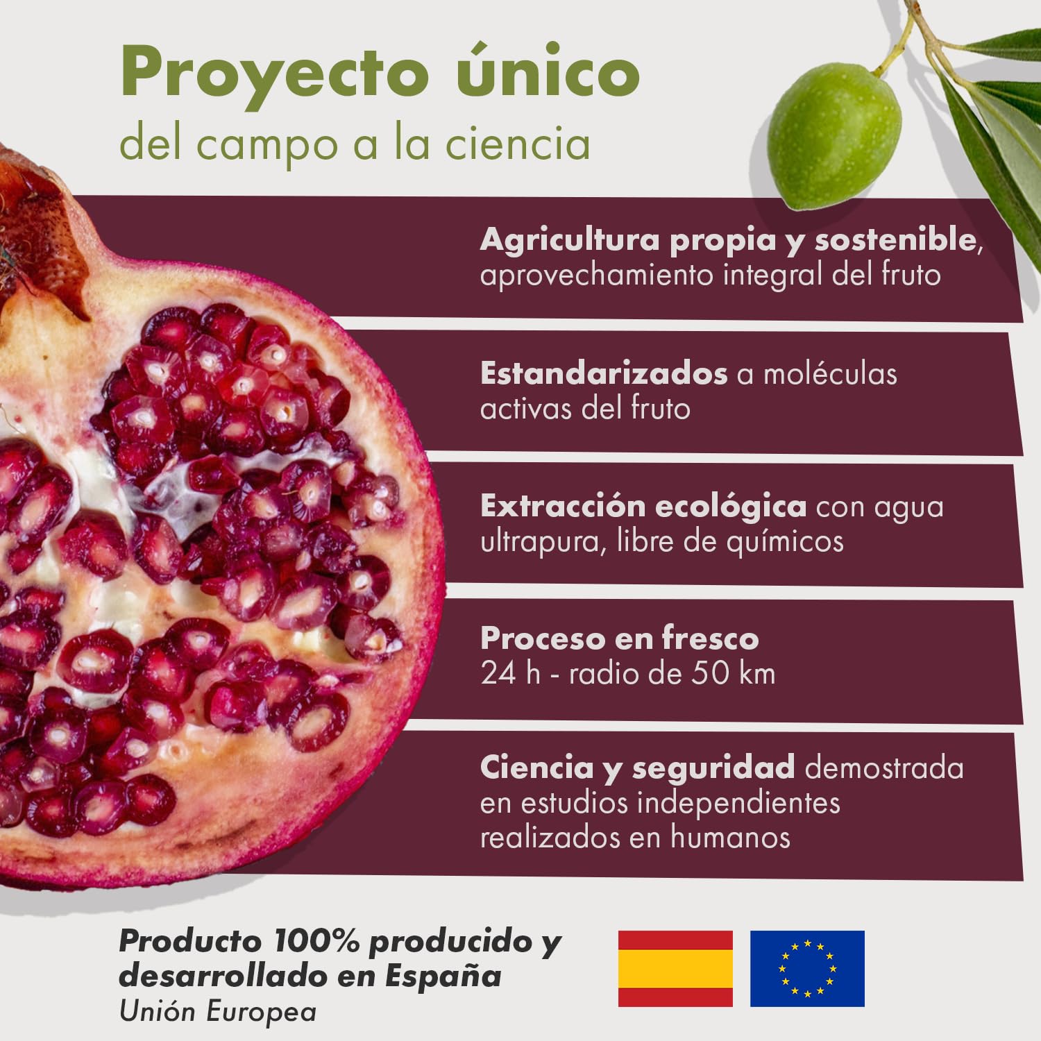 Granatum Plus - Punicalagina e Hidroxitirosol - Extracto de Granada y Oliva Extra Virgen - Antioxidante y Antiinflamatorio - Cuidado de la Piel - Producido en España - 1 Caja 60 Cápsulas