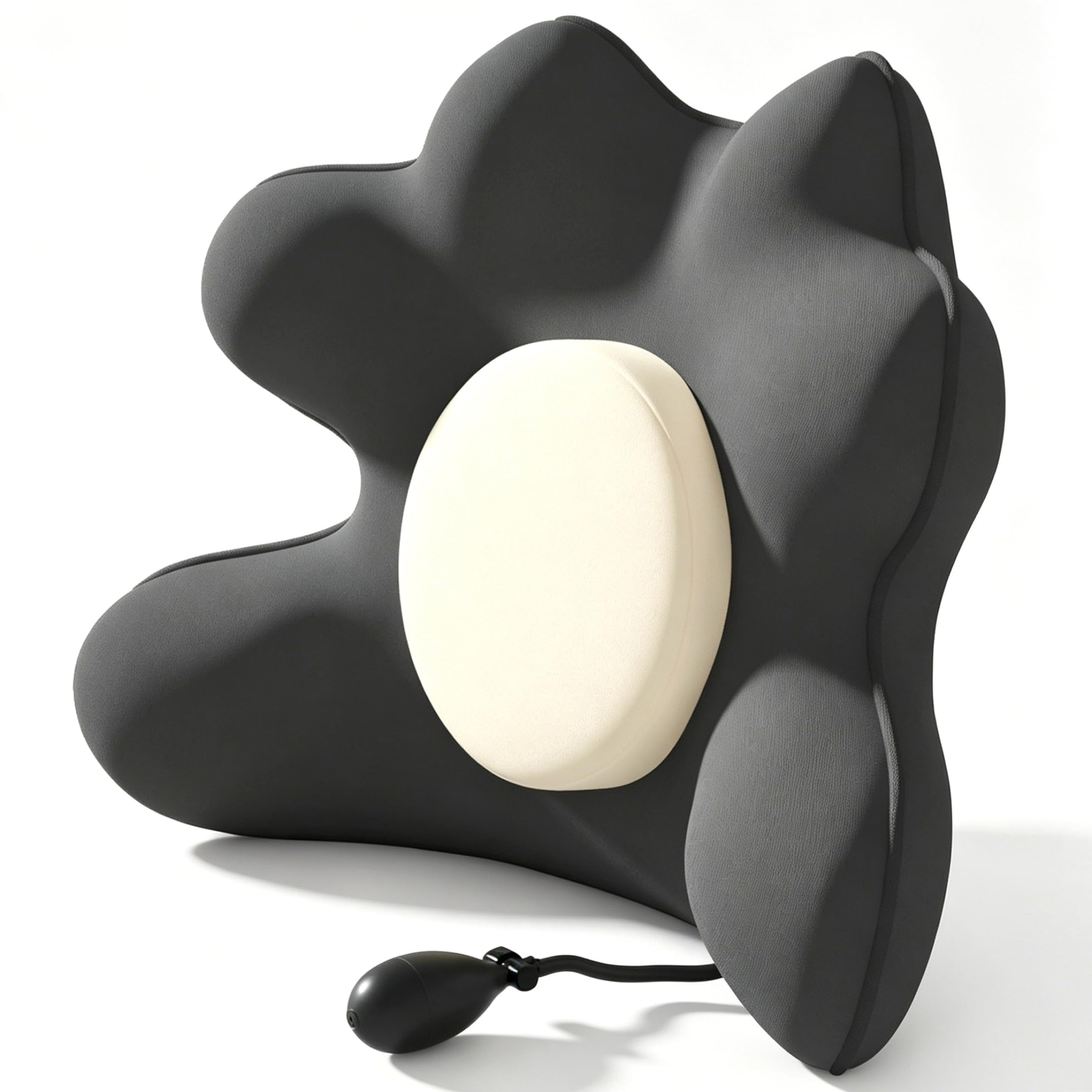 Neptuiby Lumbar Support Pillow, Adjustable Office Chair Back Support, Ergonomic Back Pillow for Chair (dark Gray)