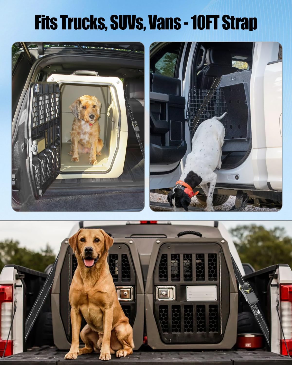 4 Pcs Dog Kennel Tie Down Kit Fits for Ruffland Kennel, 1000Lbs Break Strength Fixing Kit, Ratchet Anti-Slip Tie Down Straps for Truck SUV Transportation with D-Ring