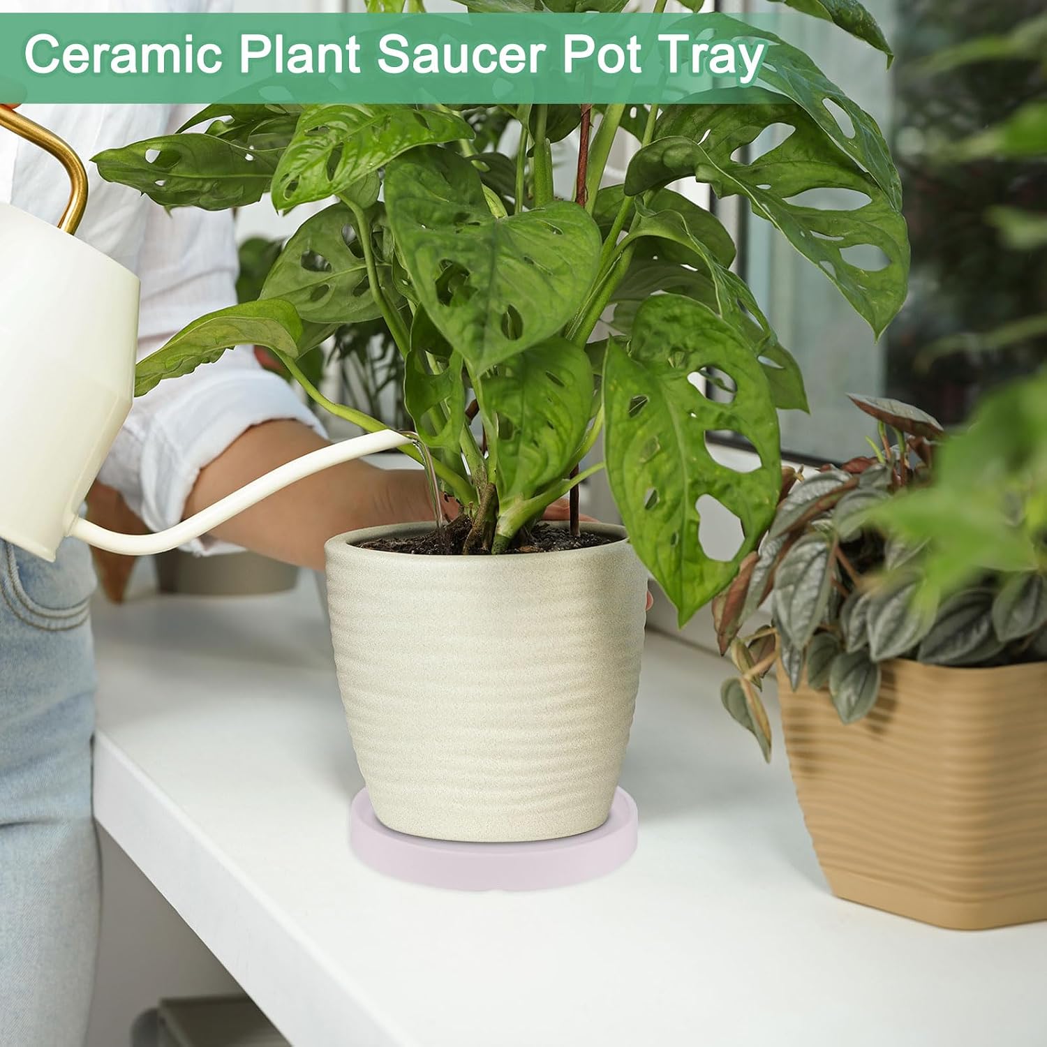 M METERXITY 2-Pack Ceramic Plant Saucer, 6.3 Inch Plant Water Catcher Tray, Plant Pot Saucers for Indoor/Outdoor Plants/Flower Drainage Drip Water Tray [Round Pink]