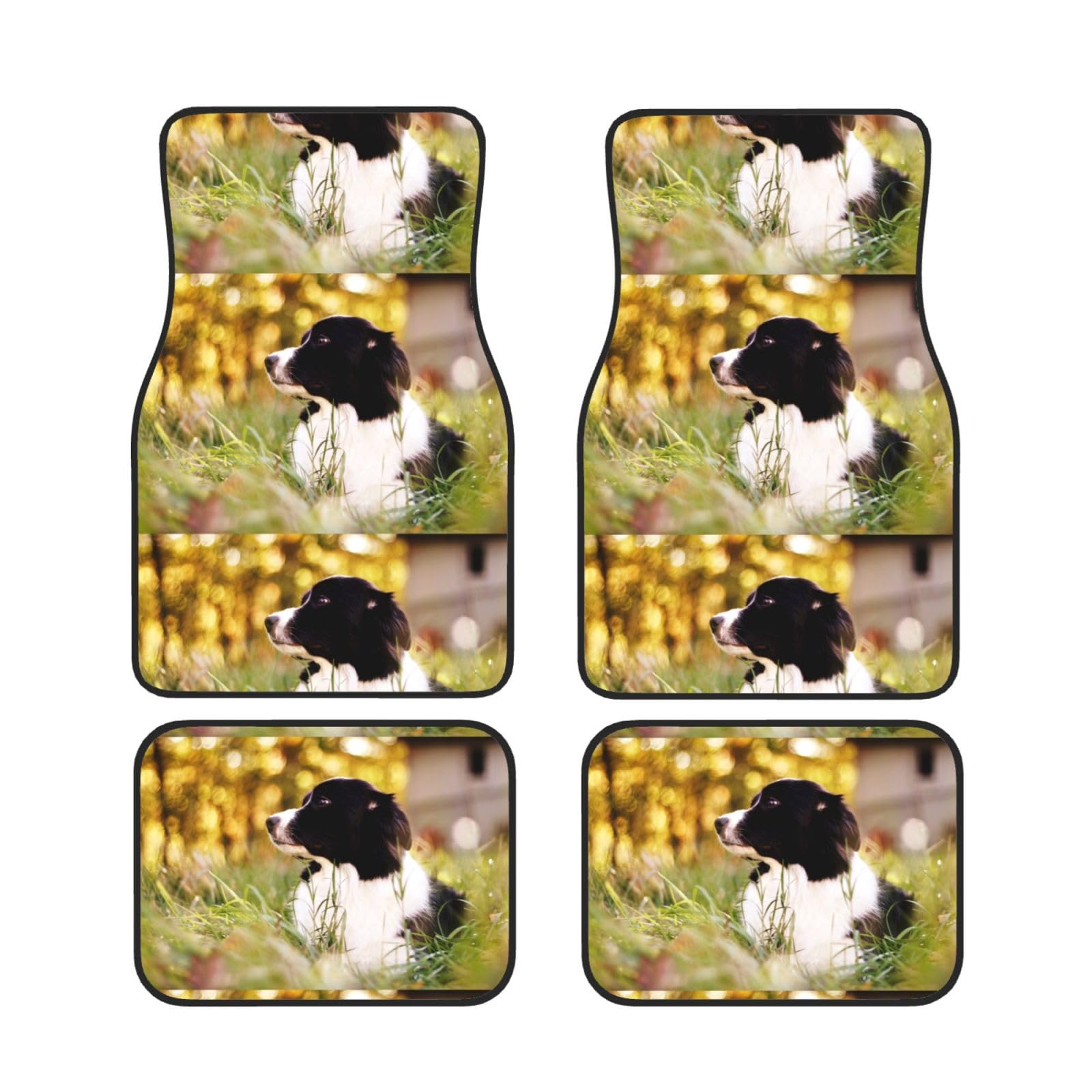 Alfombrillas Border Collie para proteger el coche tras el paseo 7