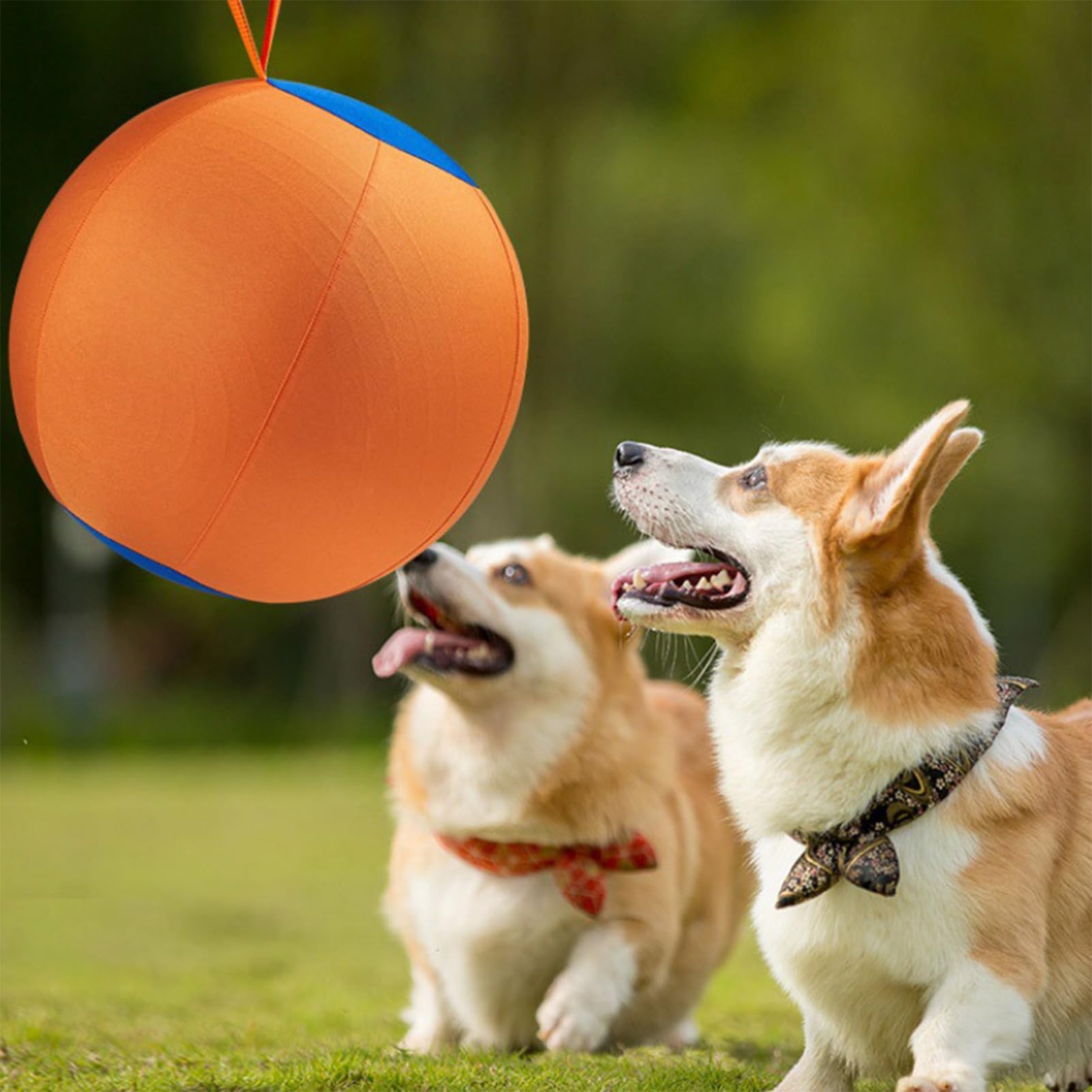 Herding Hundeball | 45 cm riesiger Herding aufblasbares Trainingszubehör – Hundespielzeug – für Welpen, drinnen und draußen, Bereicherung zum Spielen, Apportieren