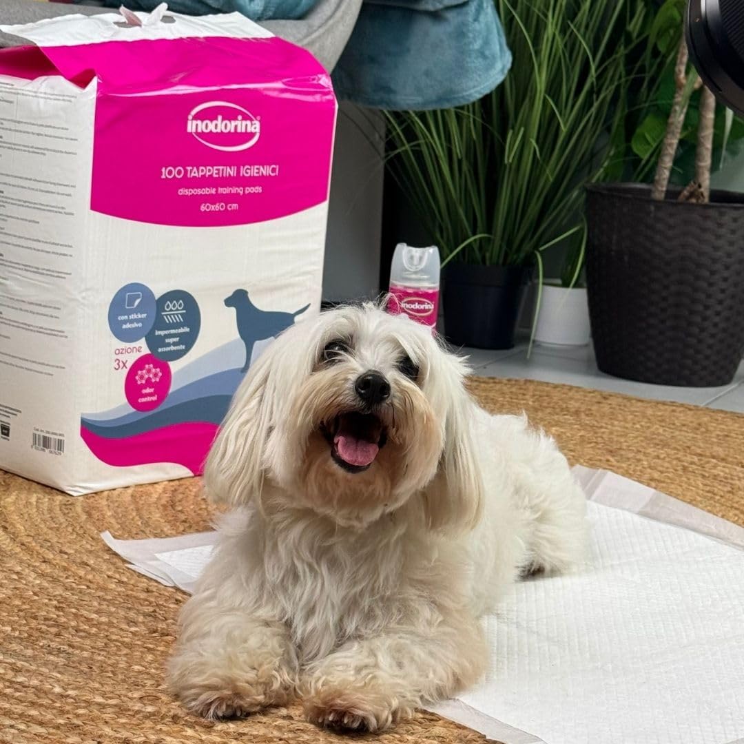 Inodorina Tappetini igienici per Cani (60x90 cm, 40 Pezzi, Senza Profumo) – Traversine profumate Super assorbenti in Pura cellulosa Vergine – con polimeri Odor Control e Sticker Antiscivolo