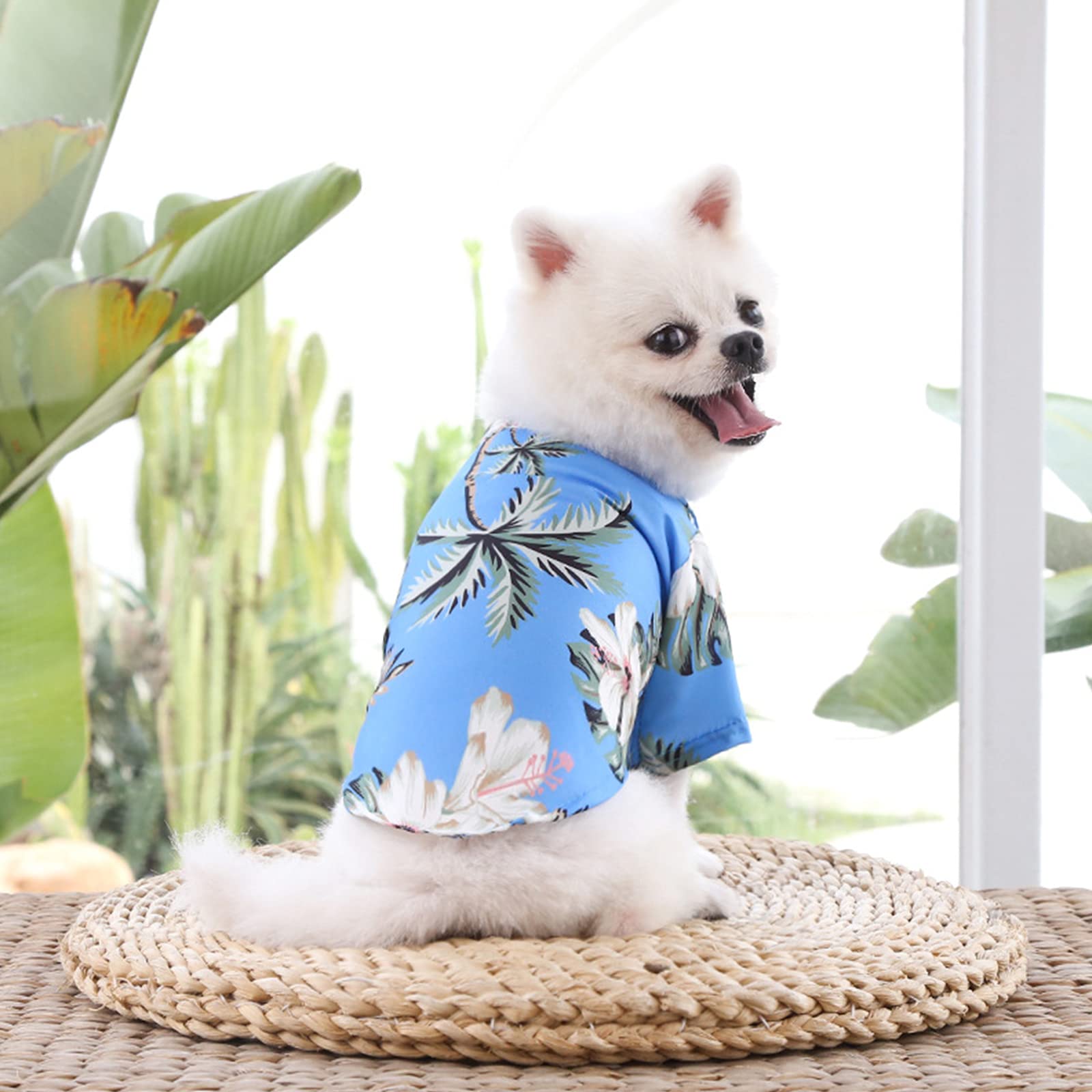 PETCUTE Camisa Casual Hawaiana para Mascotas, Camiseta Transpirable de Moda para el Verano, Estampado Floral,Ropa Fresca para Cachorros Perros Pequeños y Medianos