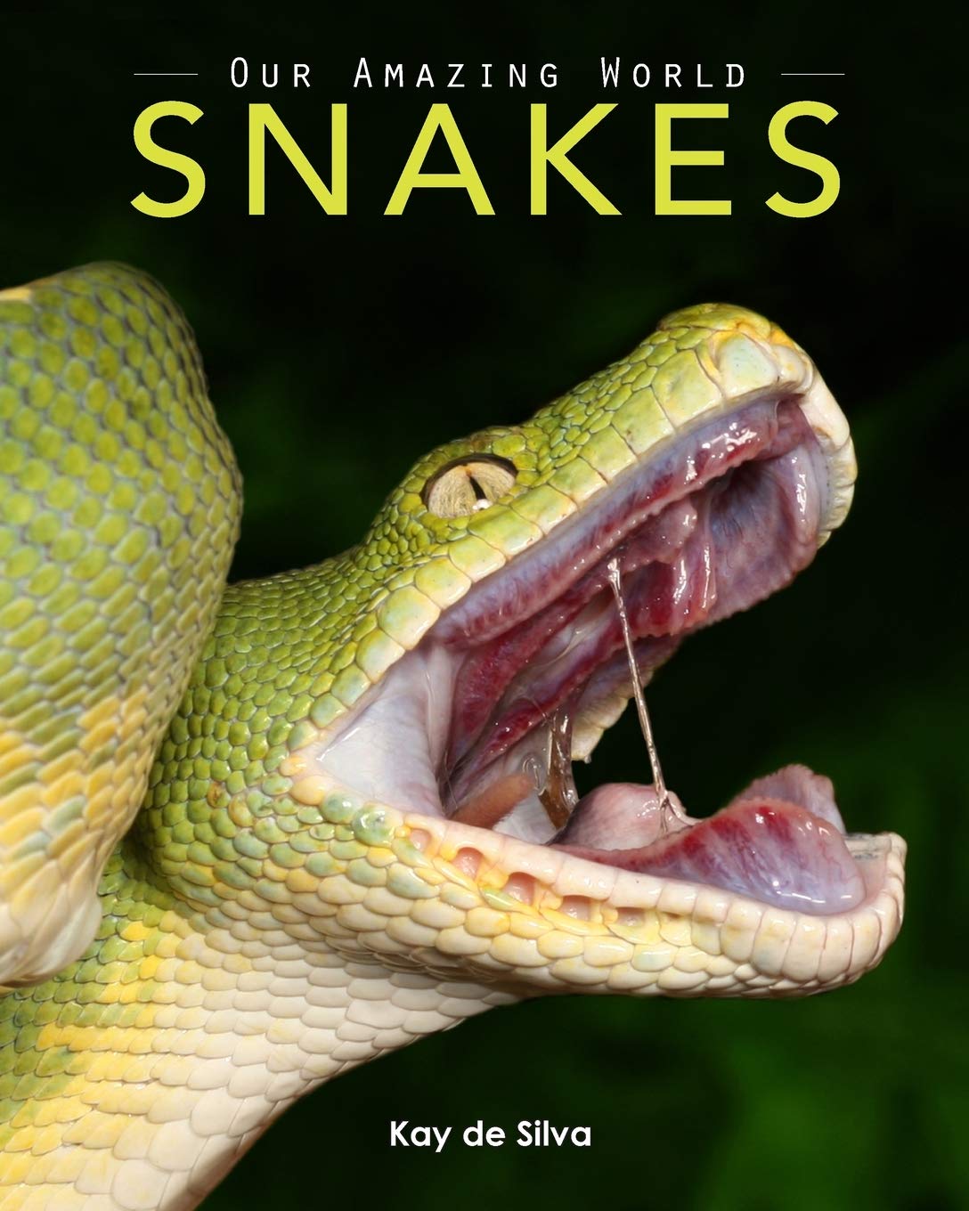 Snakes: Amazing Pictures & Fun Facts on Animals in Nature (Our Amazing World Series)