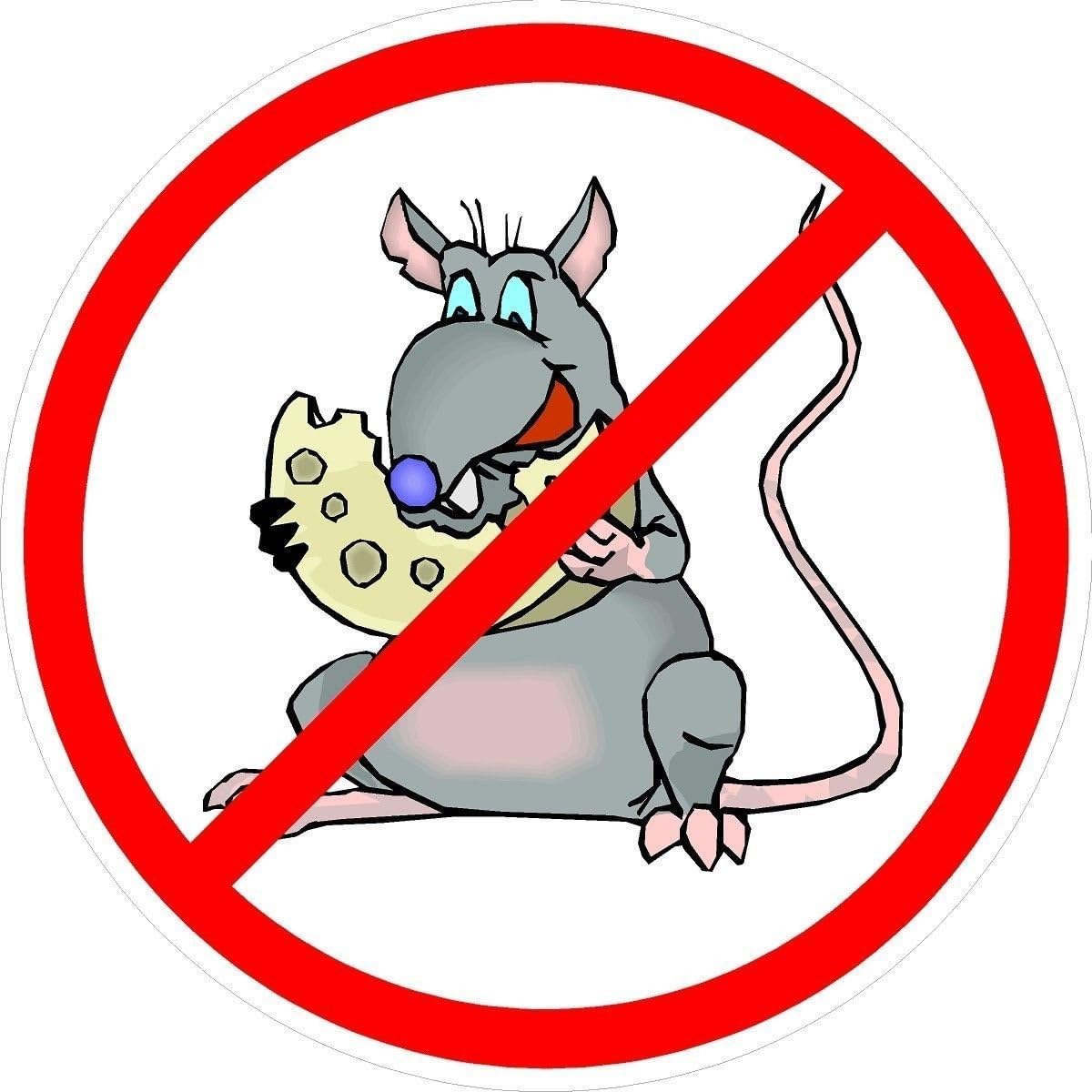 3 - No Rats Cheese Union Oilfield Hard Hat/Helmet Sticker HH811