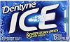 Dentyne Ice Peppermint, 16 Count Pack of 9