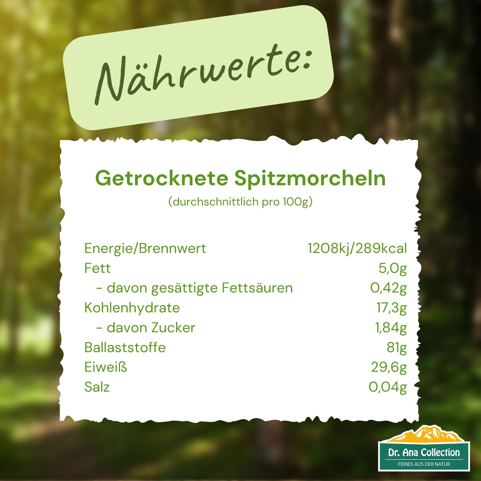 Dr. Ana Collection - getrocknete Spitzmorcheln Bruch - gebrochene Köpfe ohne Füße (100g) | Premium-Qualität | handverlesen | aus europäischer Wildsammlung | ohne Zusatzstoffe -100% naturbelassen