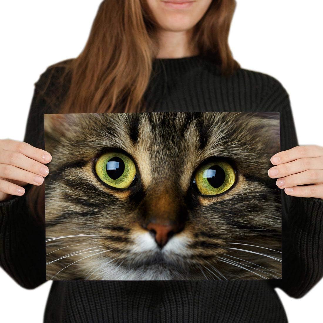 Destination Vinyl Posters A4 Beautiful Tabby Cat Face Art Print 29.7