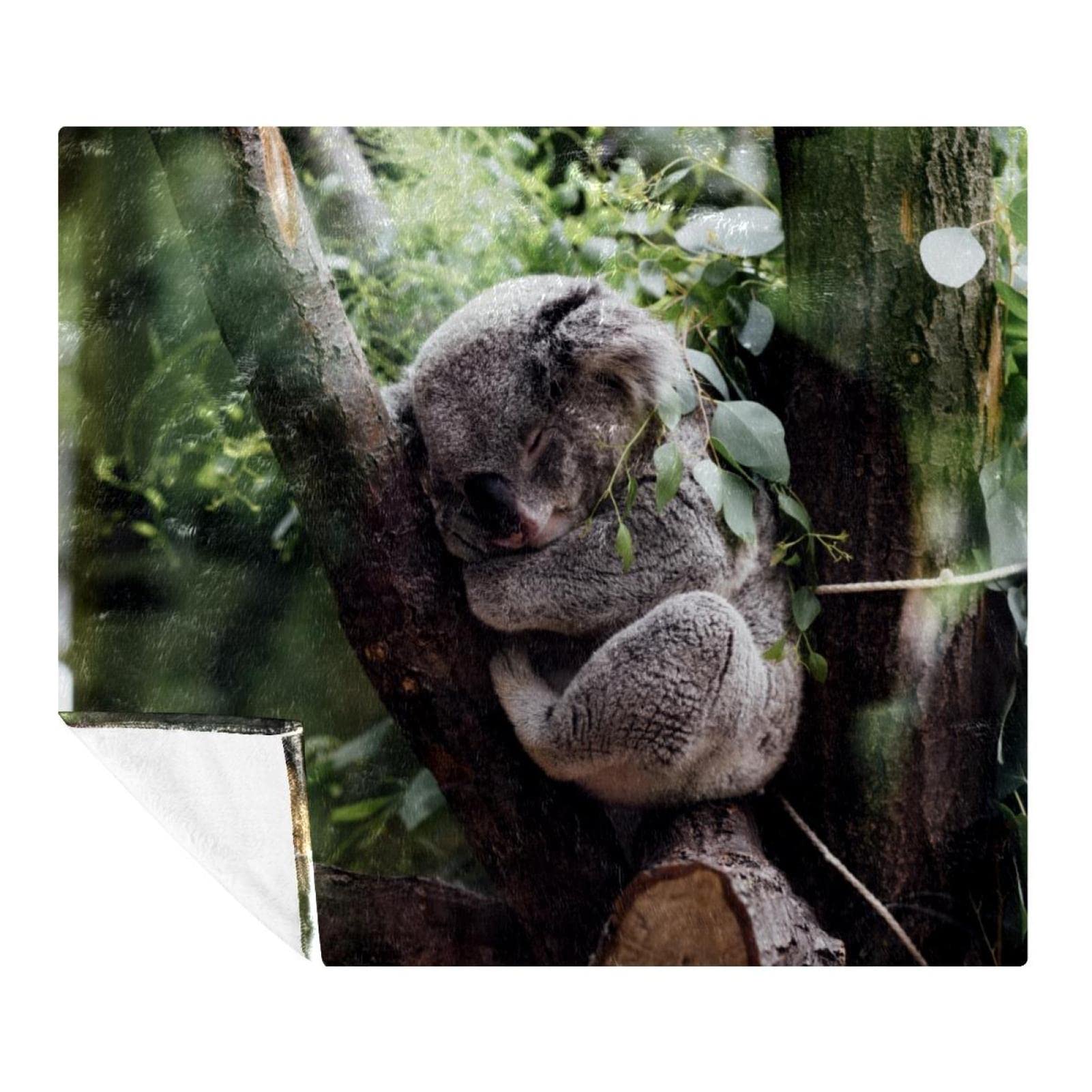 Couverture polaire koala douillette pour lit et deco canape chambre