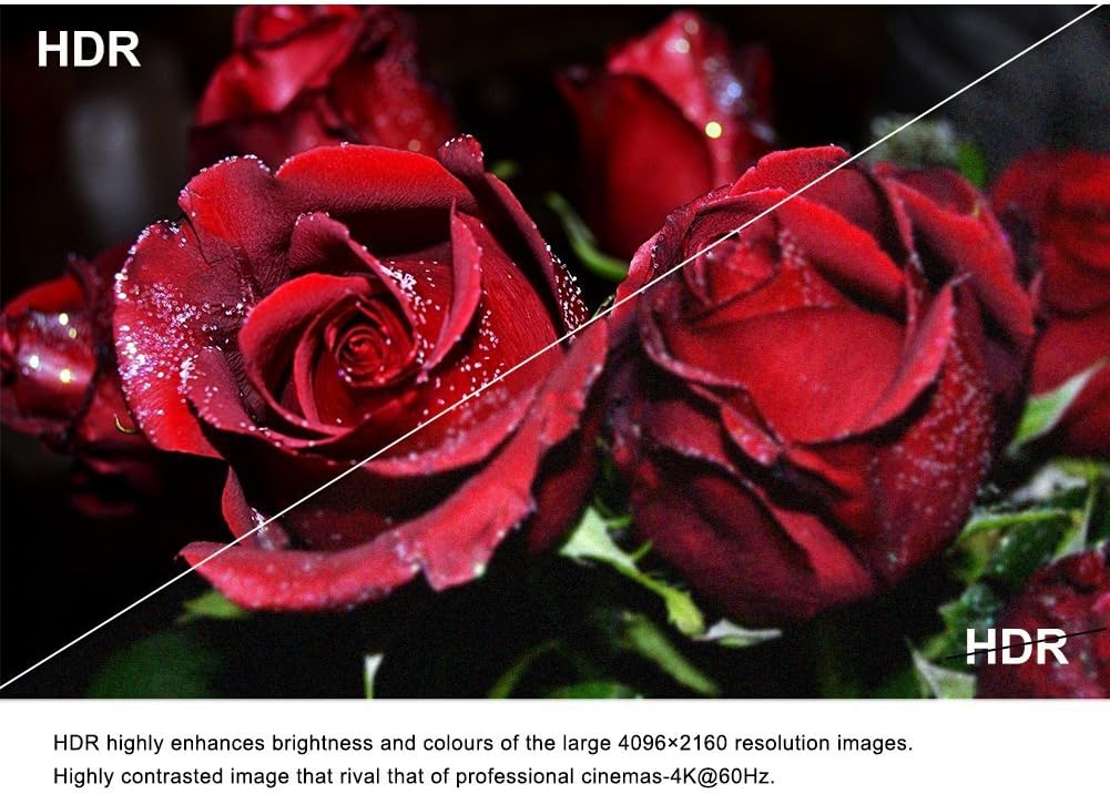 Gеt Pорulаr оƒƒеr Fiber HDMI Cable 40ft 4K 60Hz, FURUI HDMI 2.0b Fiber Optic Cable Nylon Braided HDR10, ARC, HDCP2.2, 3D, 18Gbps Fiber Optic HDMI Cable 4:4:4/4:2:2/4:2:0 Slim and Flexible-12.2M