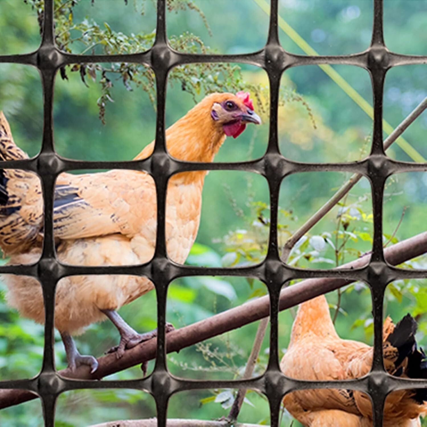 Balcony Patio Plastic Wire Fence Crafts, Black Garden Fence Animal Barrier, Plant Gardening Net Poultry Netting(1x50m(3.3x164ft))