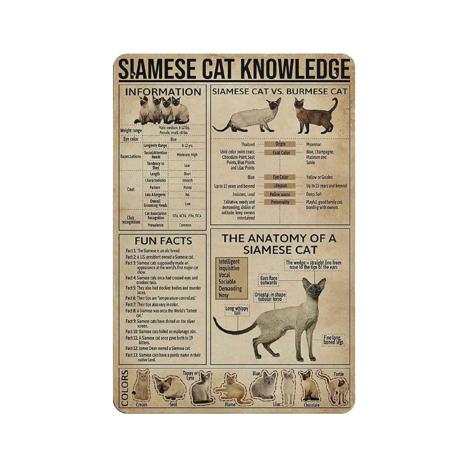 GQWJKSZ Metal Tin Sign Siamese Cat Knowledge Anatomy Information Vintage Art Poster Retro Iron Painting Wall Decor Art Gift Outdoor Cafe Bar Garage Farm Decoration 12"x8"