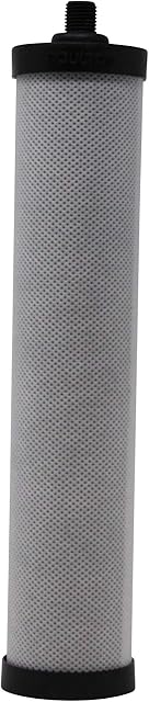 Doulton W9142010 Carbon Block Drinking Water Taste and Odour Filter Cartridge Massive Chlorine Reduction Capabilities 10 inch BSP Thread, White