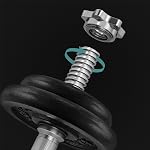 SONGMICS Ensemble de 2 Cast Iron Dumbbells, Plaques de poids, Ajustable pour hommes Femmes entraînement, Poignée en acier, Fitness Training, Weight Lift, Gym à domicile, Encre noire