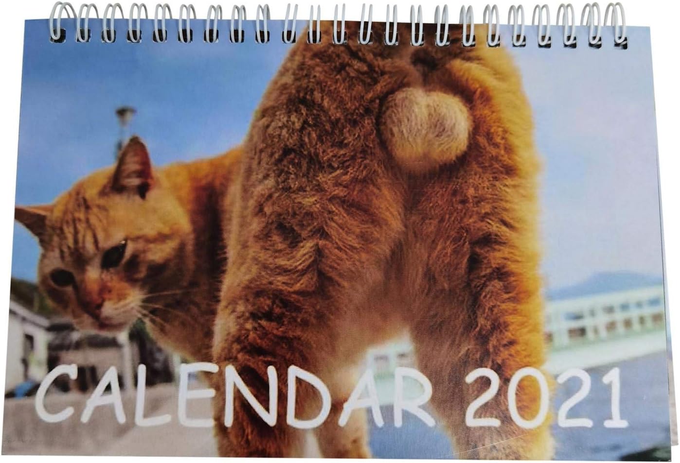 Didatecar Animal Calendar 2021 Wall Calendar, 15 x 21 cm