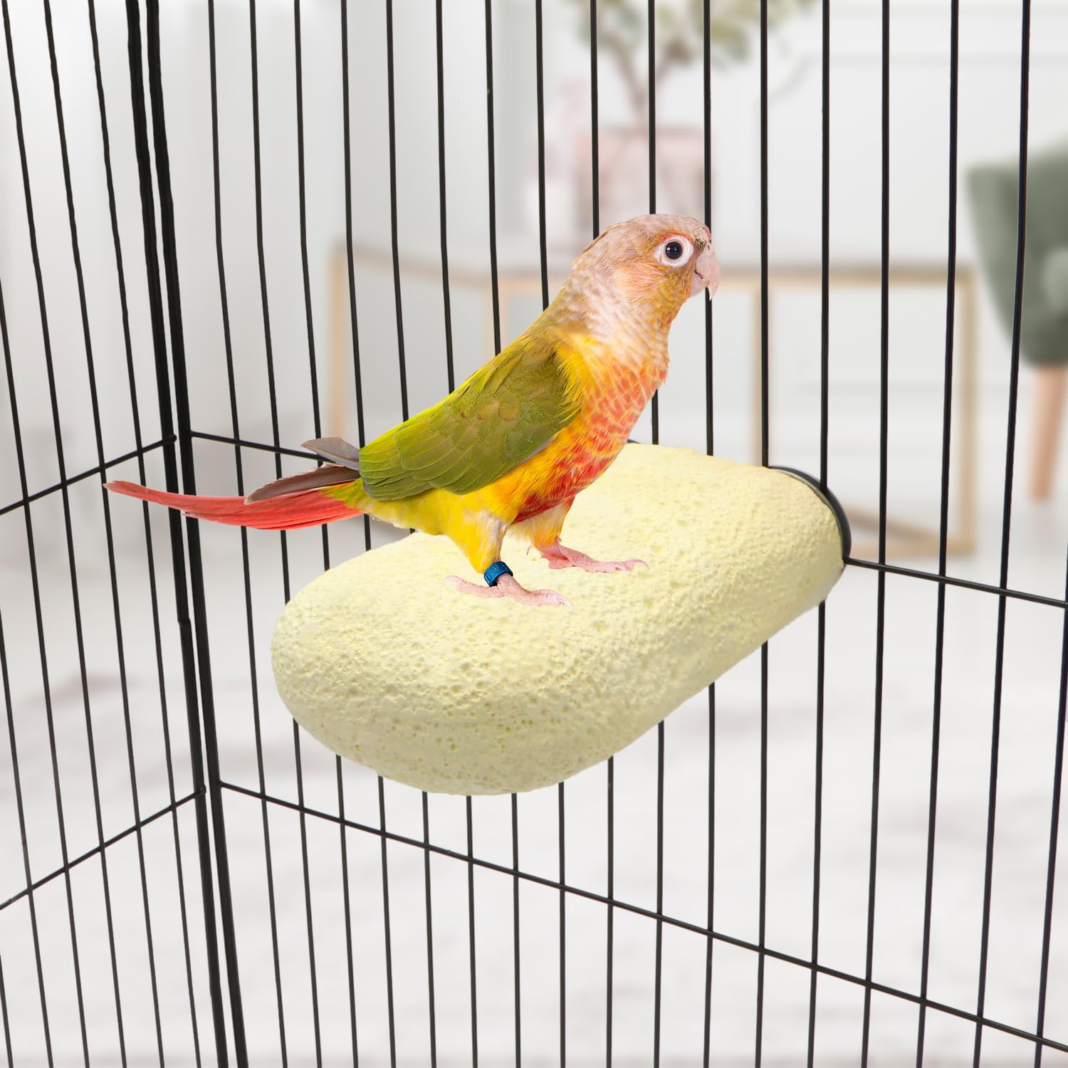 Kauspielzeug für Vogel, Kalziumzähne, Hamster, Schleifstein für Papageien, Sittiche, Nymphensittiche, Kaninchen, Chinchilla, Eichhörnchen, Käfig (zufällige Farbe) (L)