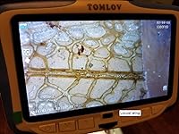 Review Image by N. N.