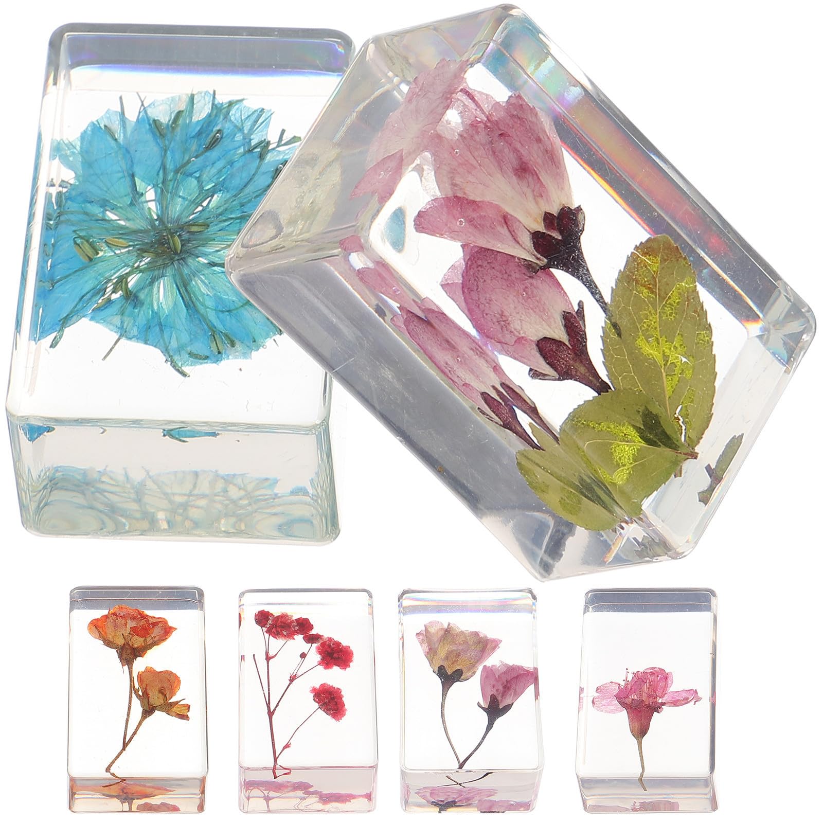Fleurs en résine ambre pour éducation, lot de 6 spécimens créatifs Zerodeko