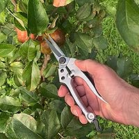 Vista 2 de Kings County Tools Juego de herramientas de podadora manual de jardinería y paisajismo, derivación de madera húmeda, yunque de madera seca