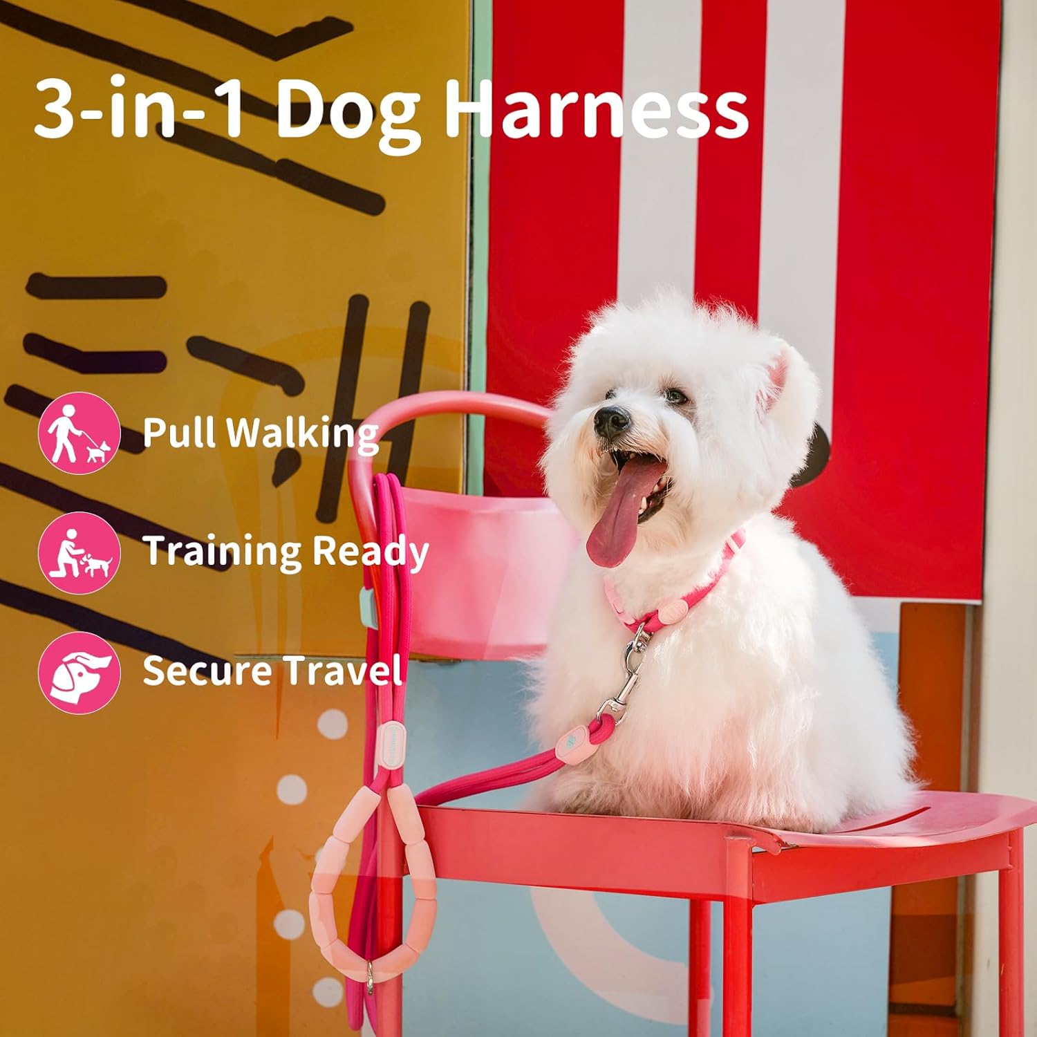 Touchdog Sugar Series Y-Shape Dog Harness and Leash Set, Adjustable No-Pull Step in Dog Harness for Small Medium Dogs, Lightweight Nylon Pet Harness for Walking Training Travel (Red, S)
