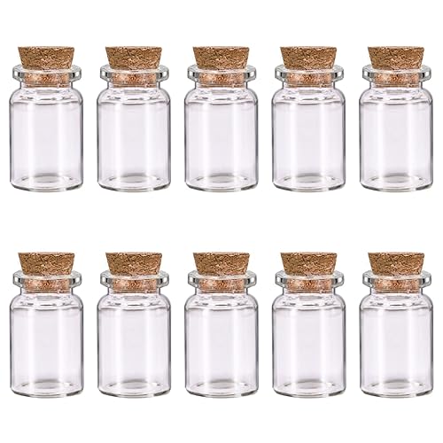 10 Pcs Small Glass Bottles with Cork Lids, Mini Glass
